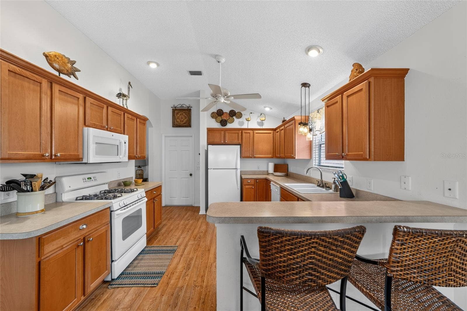1743 OCONEE PLACE, The Villages, FL 32162