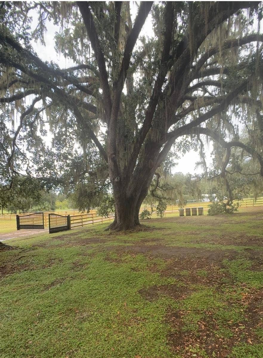 2930 GRIFFIN AVENUE, Lady Lake, FL 32159