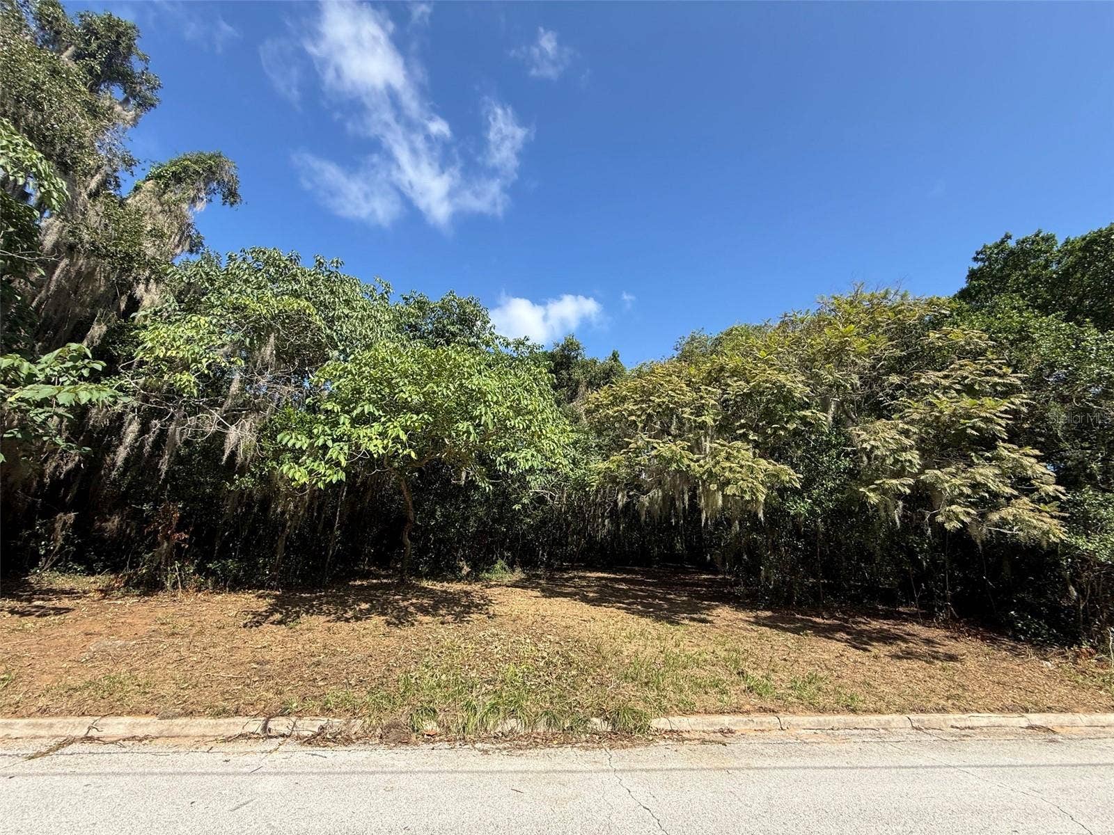 MORNINGSIDE DRIVE, Eustis, FL 32726