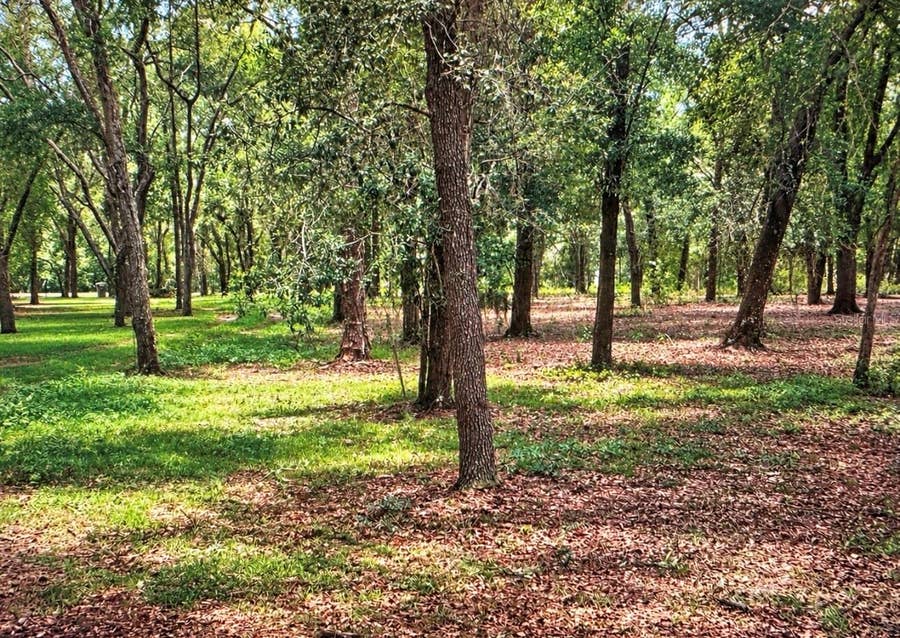 Property photo for ROLLING ARES ROAD, Lady Lake, FL
