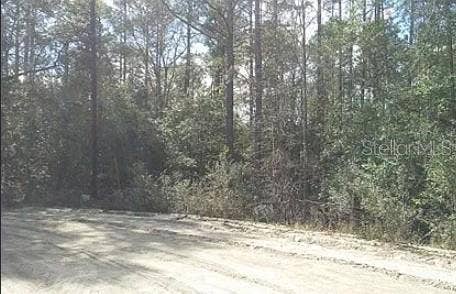 Property photo for TBD SE 213TH TERRACE, Umatilla, FL