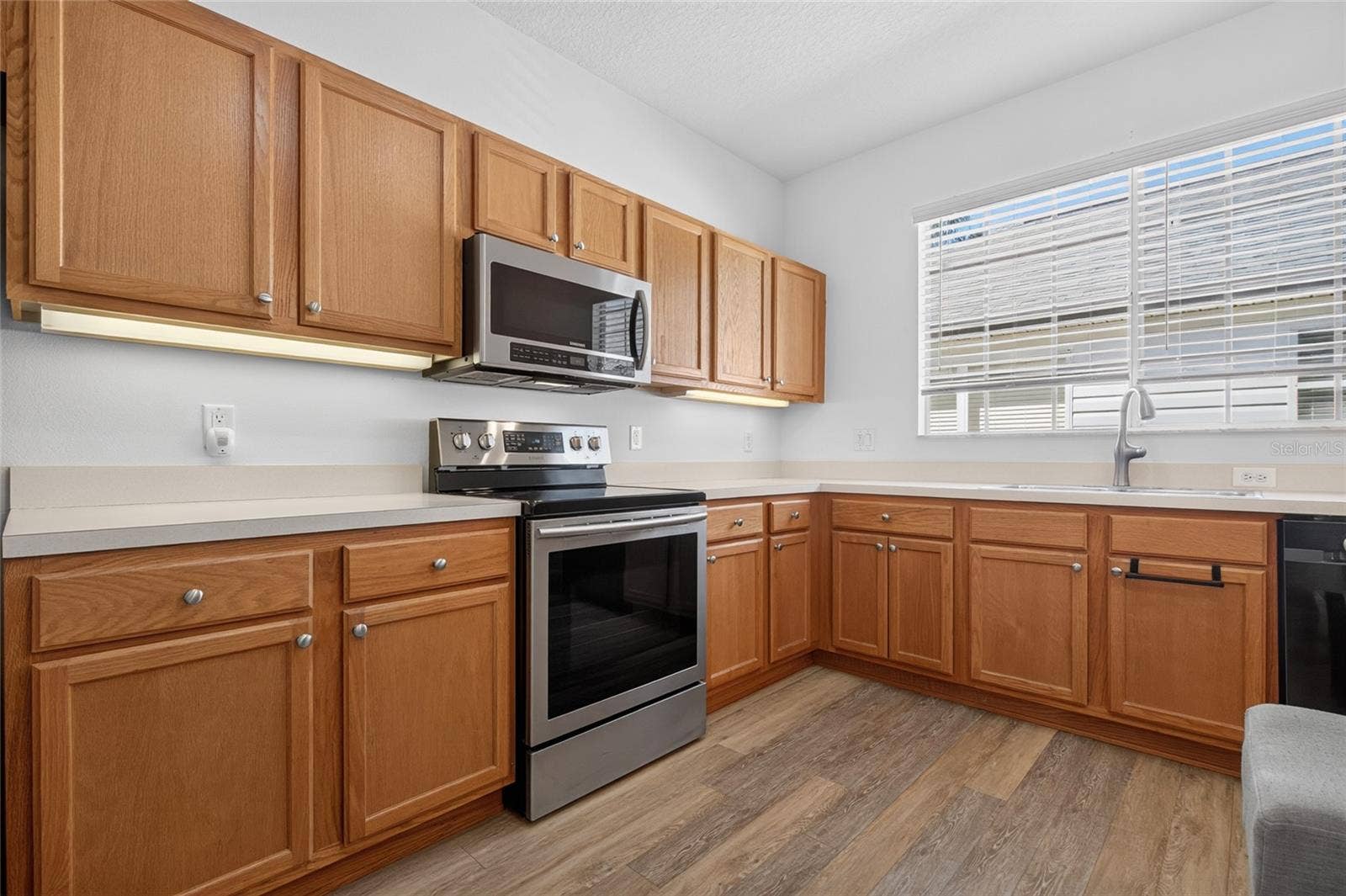 25247 CRANES ROOST CIRCLE, Leesburg, FL 34748 25247 CRANES ROOST CIRCLE, Leesburg, FL 34748