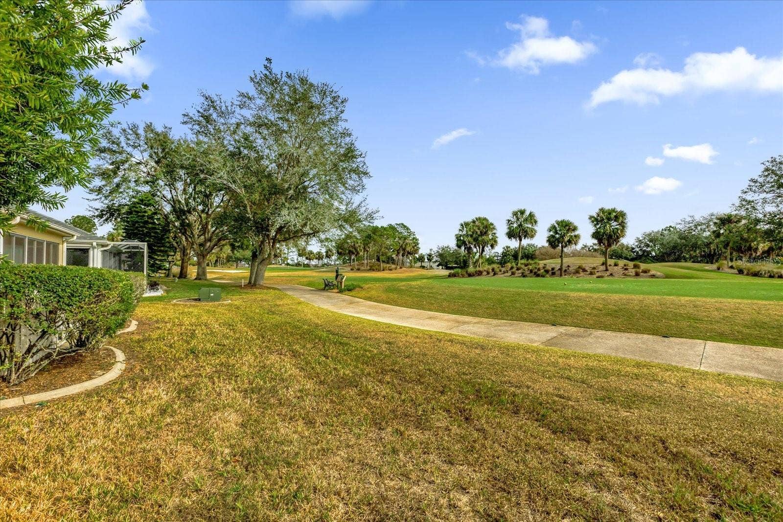 2409 TAMARINDO DRIVE, The Villages, FL 32162