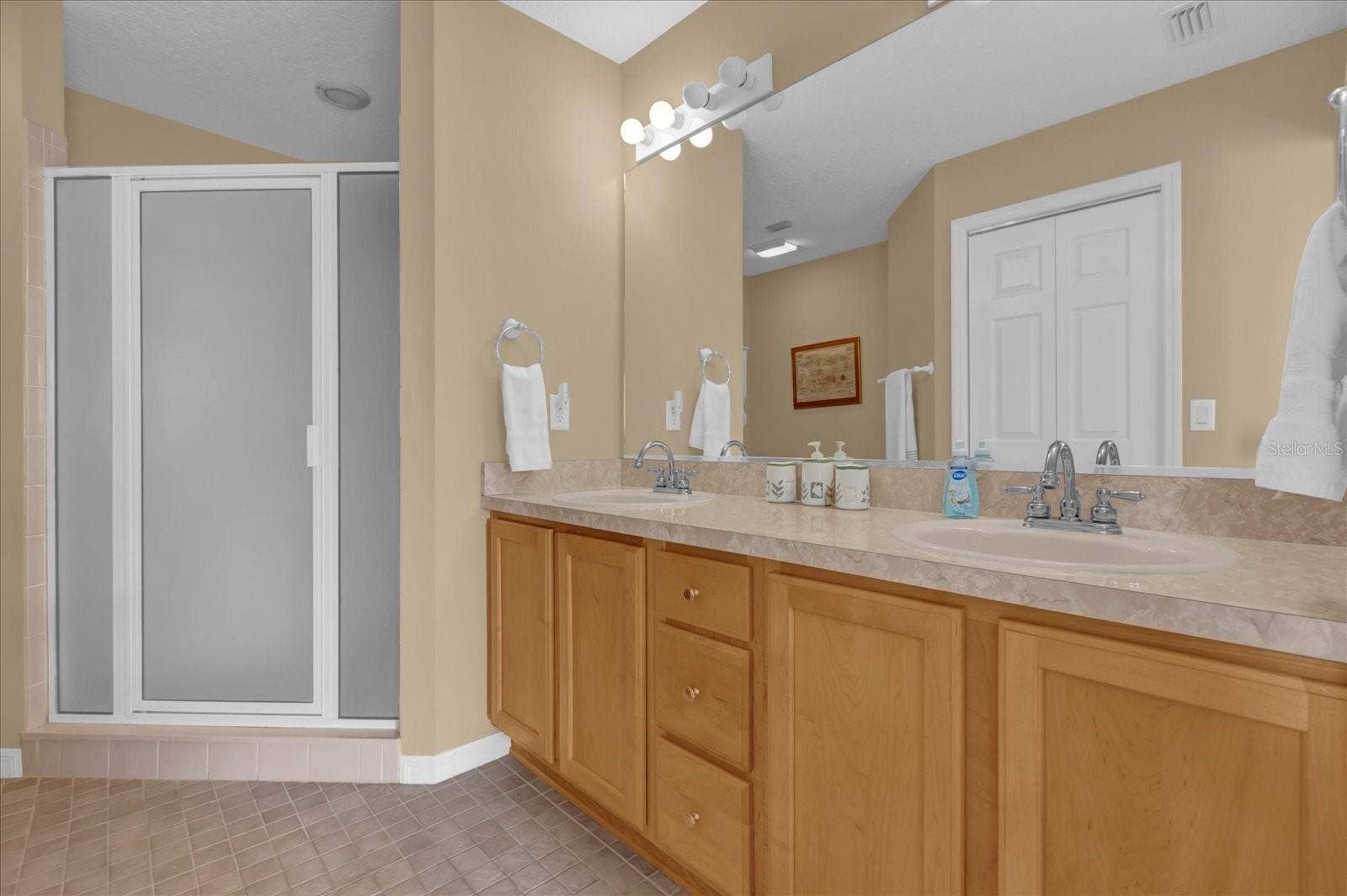 2409 TAMARINDO DRIVE, The Villages, FL 32162