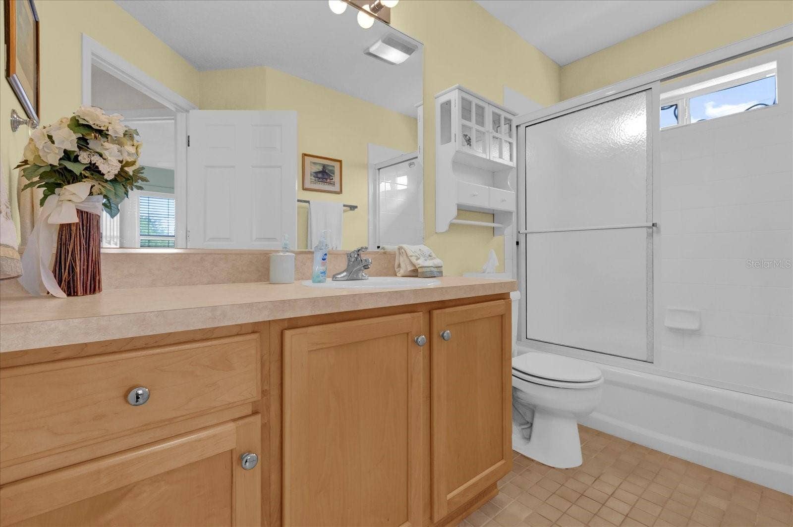 2409 TAMARINDO DRIVE, The Villages, FL 32162