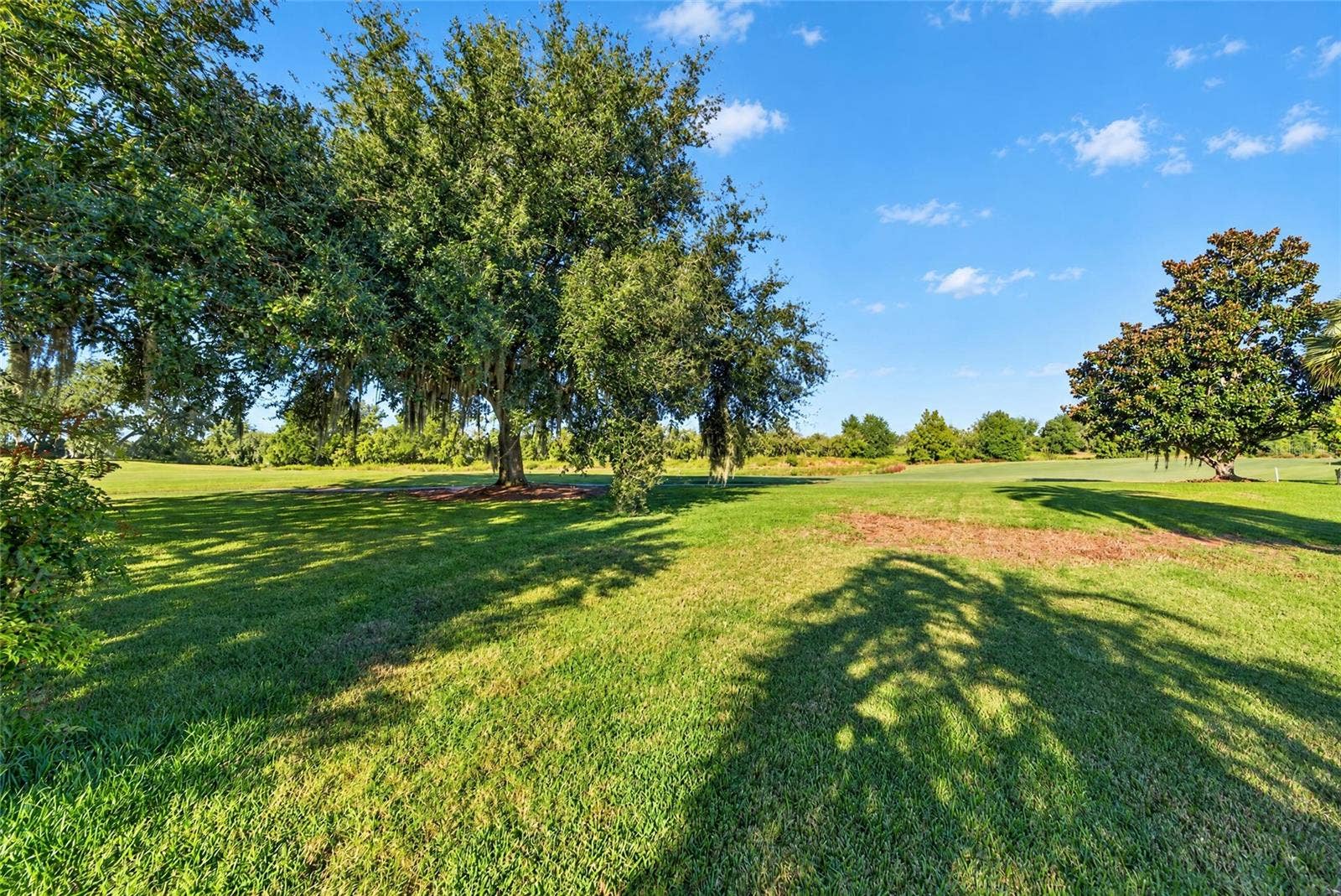 3568 WORTH CIRCLE, The Villages, FL 32162 View From Back of Home