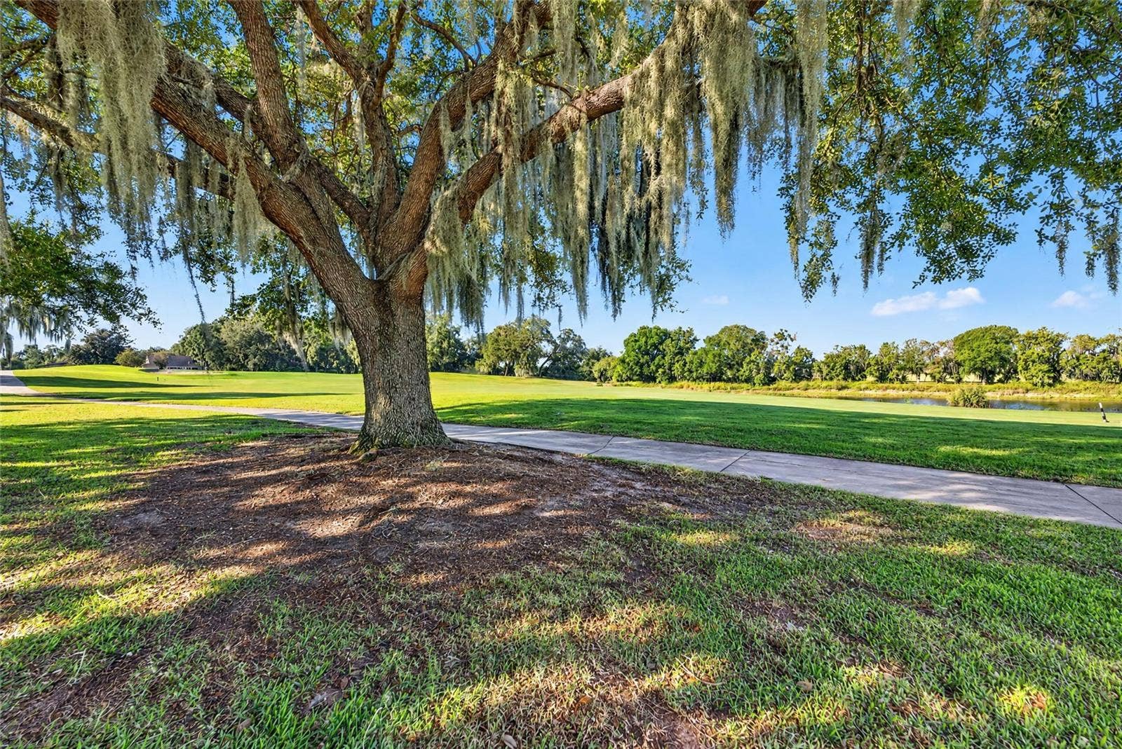 3568 WORTH CIRCLE, The Villages, FL 32162 View From Back of Home