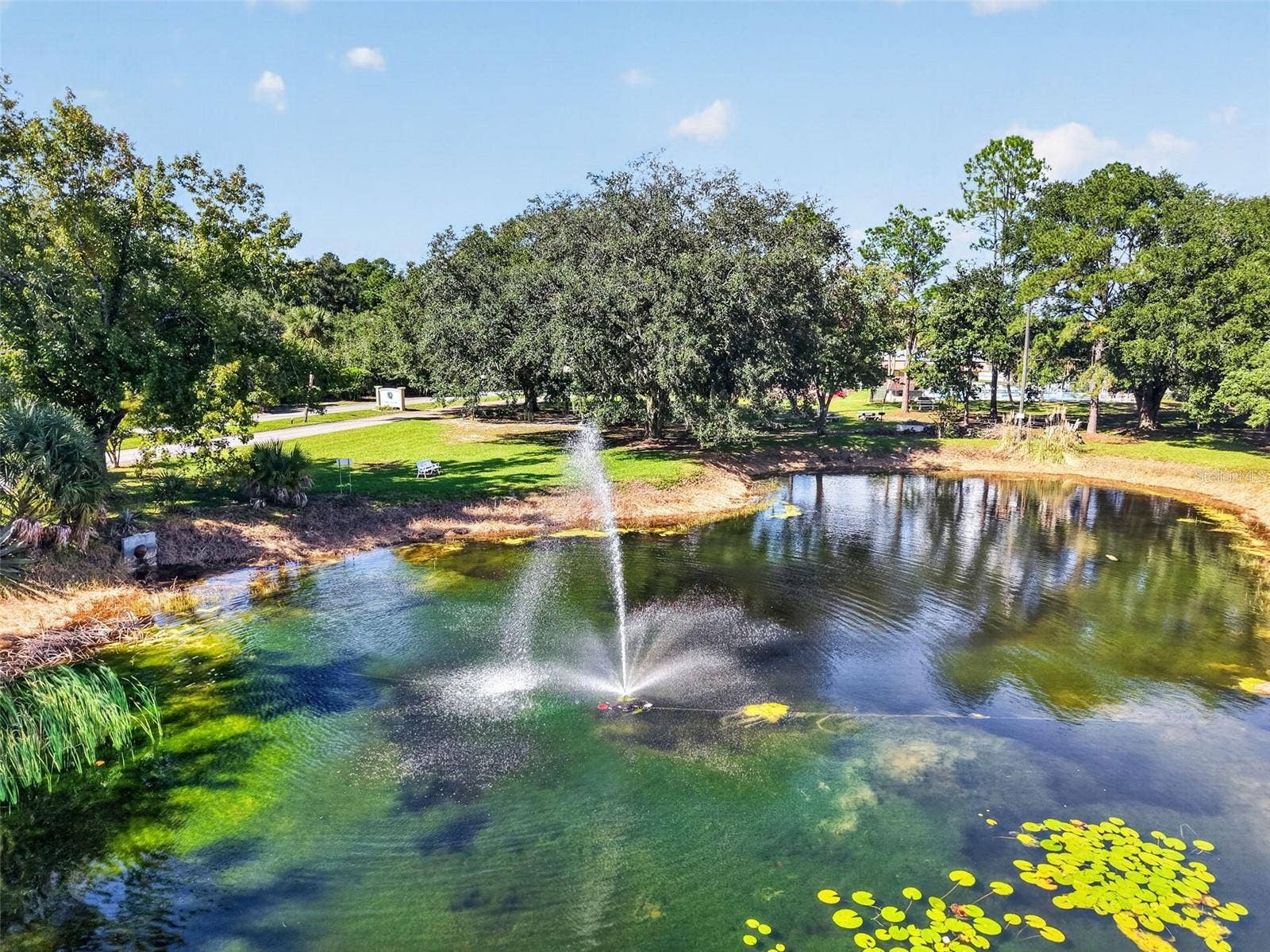 2005 STACEY DR, Mount Dora, FL 32757 2005 STACEY DR, Mount Dora, FL 32757
