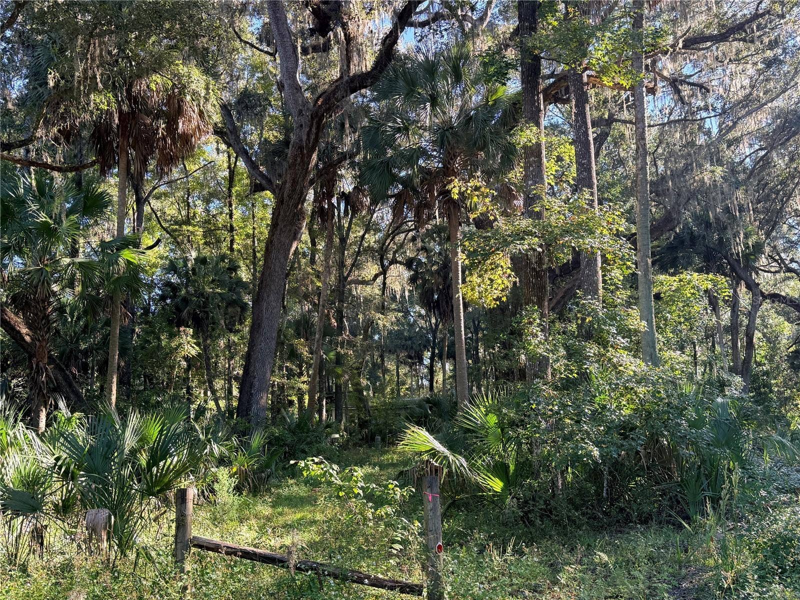 2701 NE 175TH STREET ROAD, Citra, FL 32113 2701 NE 175TH STREET ROAD, Citra, FL 32113