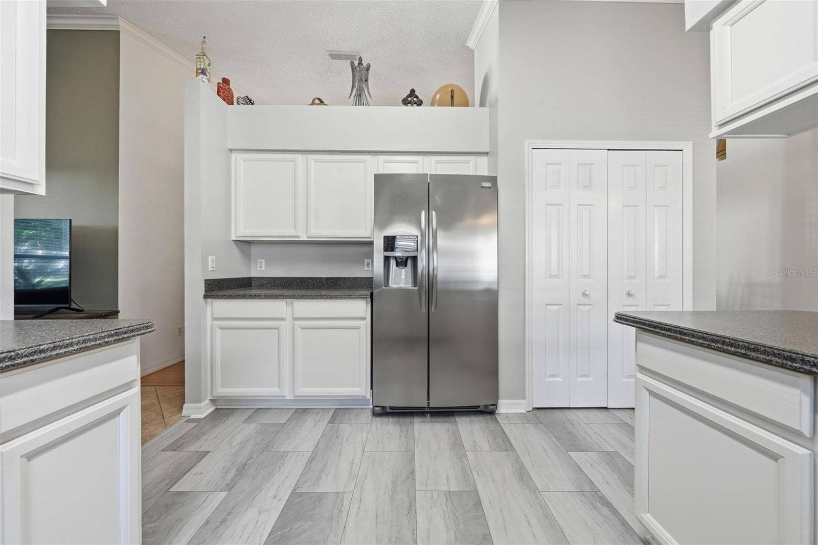 25012 CRANES ROOST CIRCLE, Leesburg, FL 34748 25012 CRANES ROOST CIRCLE, Leesburg, FL 34748