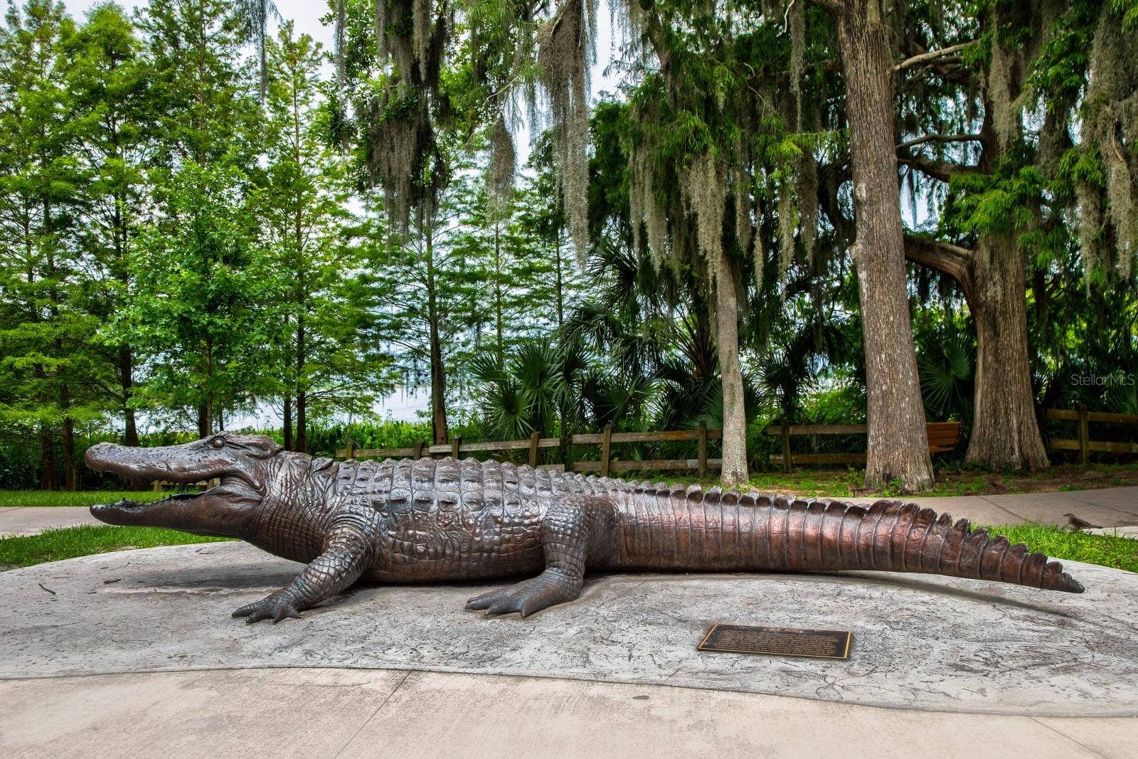 342 S CLAYTON STREET, Mount Dora, FL 32757 342 S CLAYTON STREET, Mount Dora, FL 32757