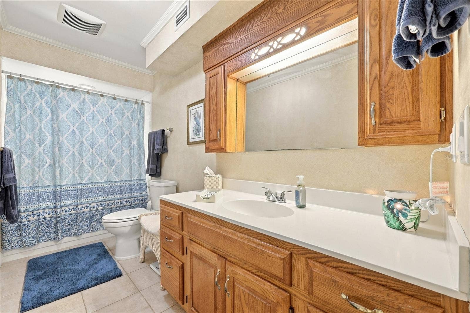 13205 MARIA AVENUE, Clermont, FL 34711 Guest bathroom