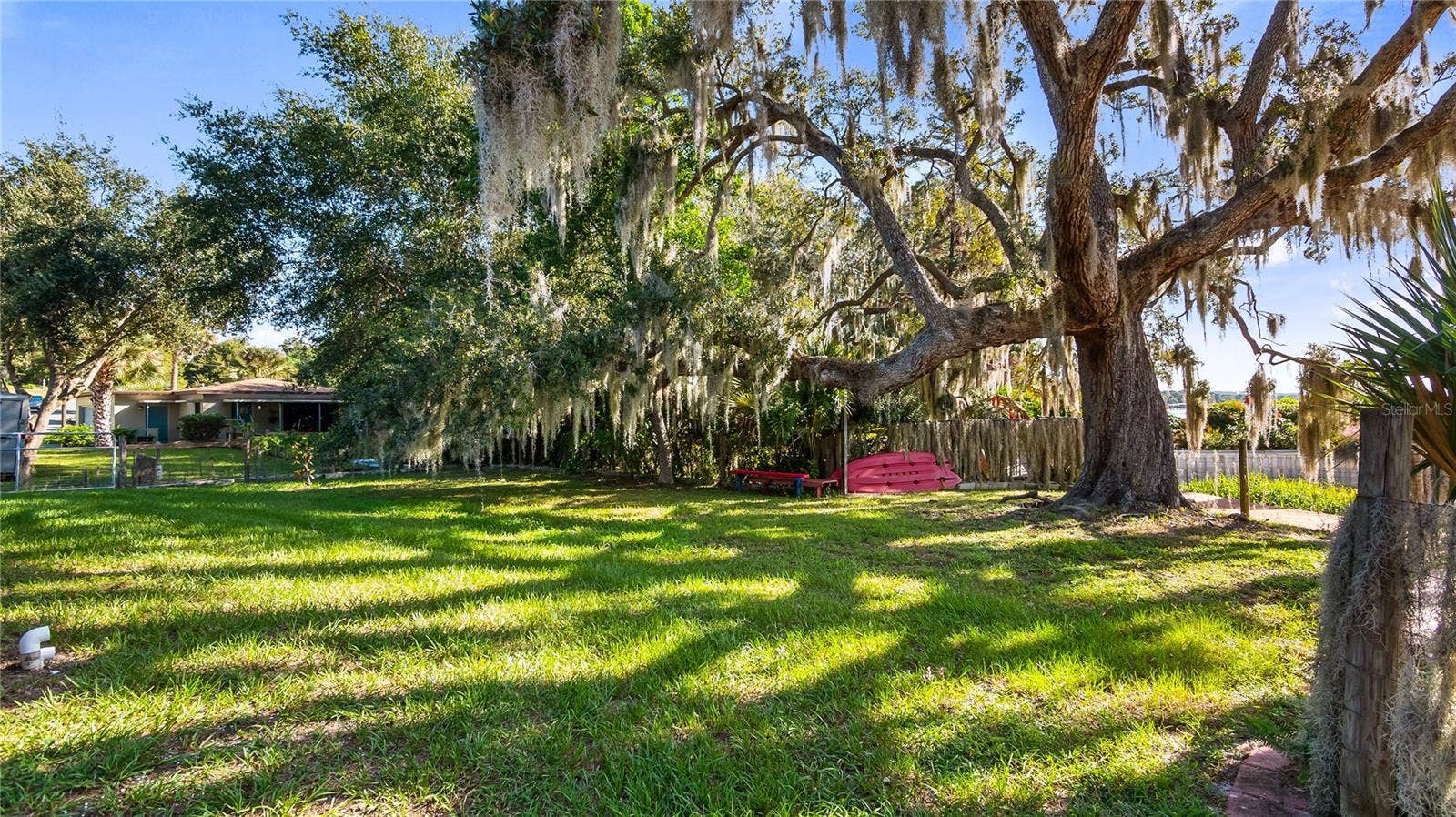 1730 NITA PLACE, Clermont, FL 34711 Beautiful Oak in backyard/lakefront