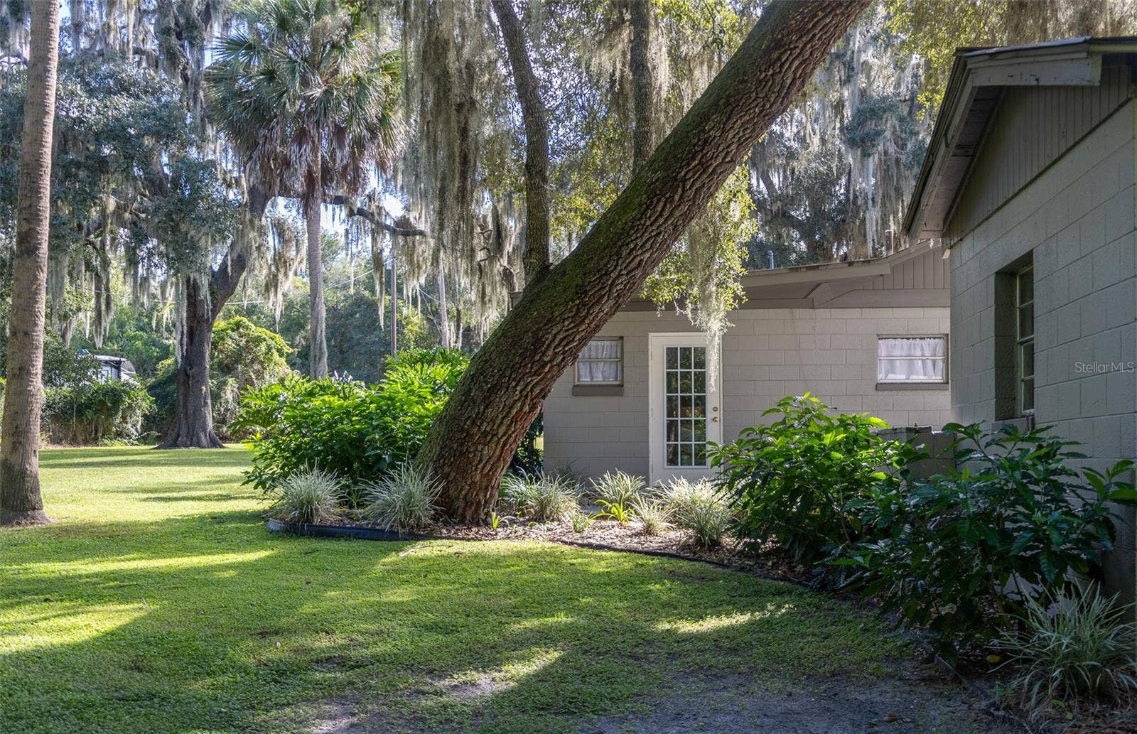 35935 NOLEN LANE, Eustis, FL 32736 Rear side entrance and backyard