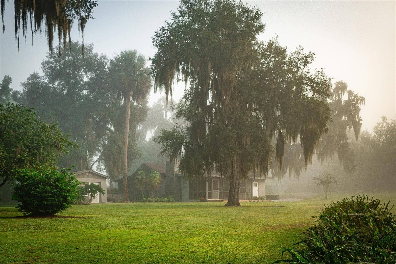 35935 NOLEN LANE, Eustis, FL 32736 Westside of home in early morning fog.