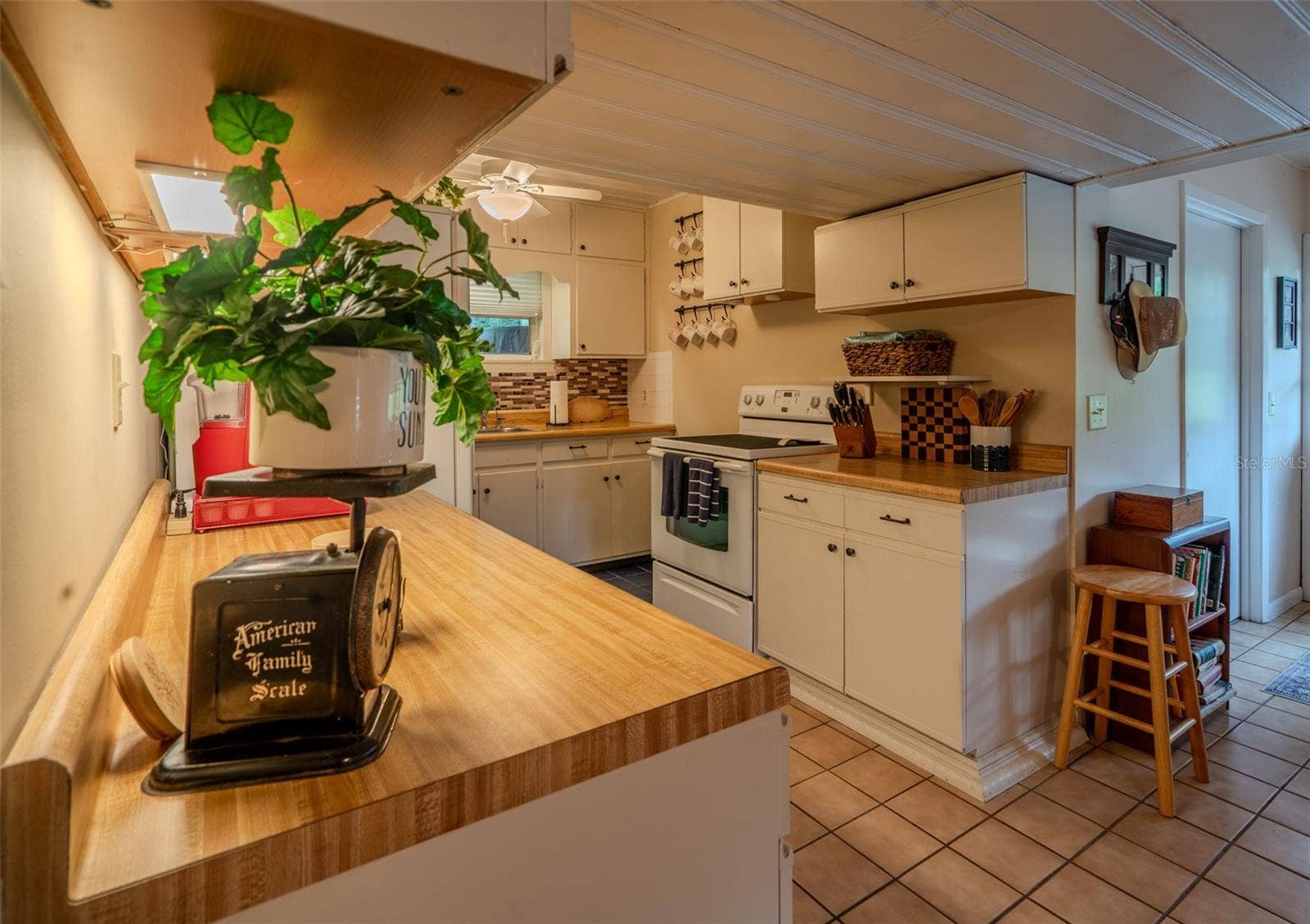 35935 NOLEN LANE, Eustis, FL 32736 Kitchen