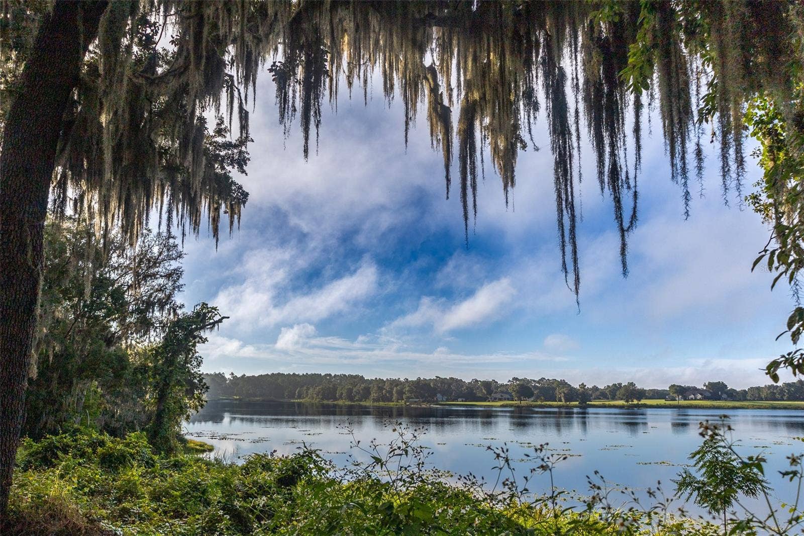 35935 NOLEN LANE, Eustis, FL 32736 Lake view from west shore