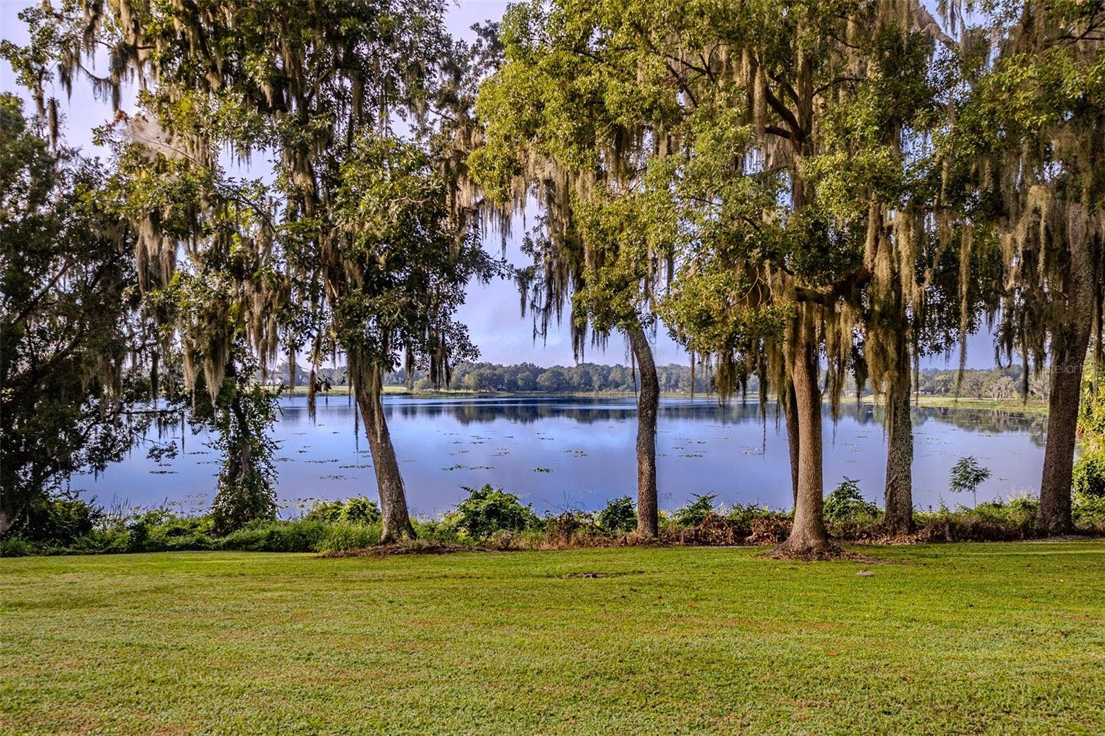 35935 NOLEN LANE, Eustis, FL 32736 Lake view