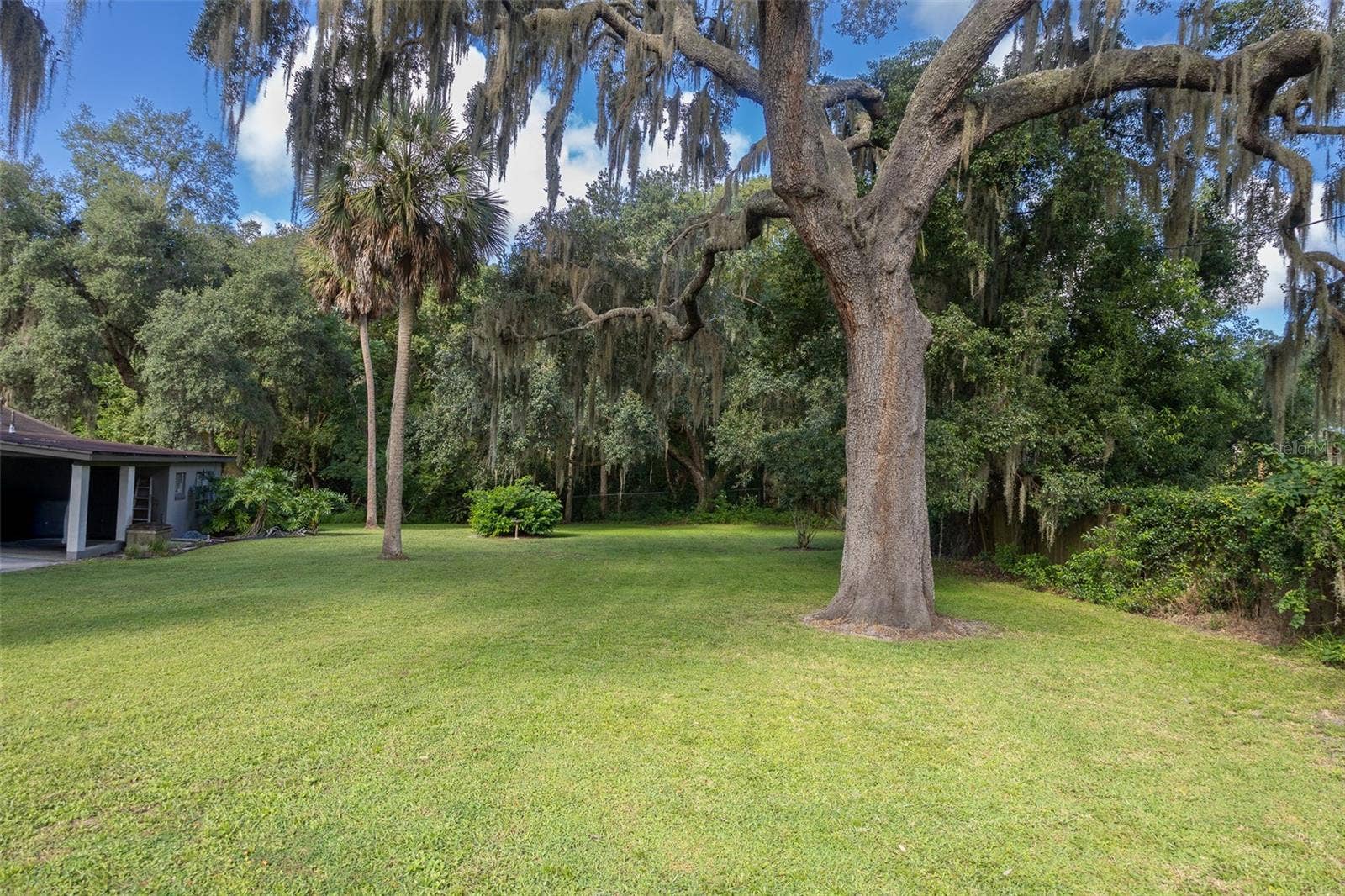 35935 NOLEN LANE, Eustis, FL 32736 Backyard