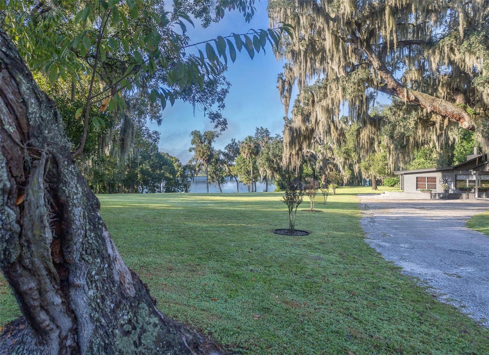 35935 NOLEN LANE, Eustis, FL 32736 Looking at lake form driveway entrance