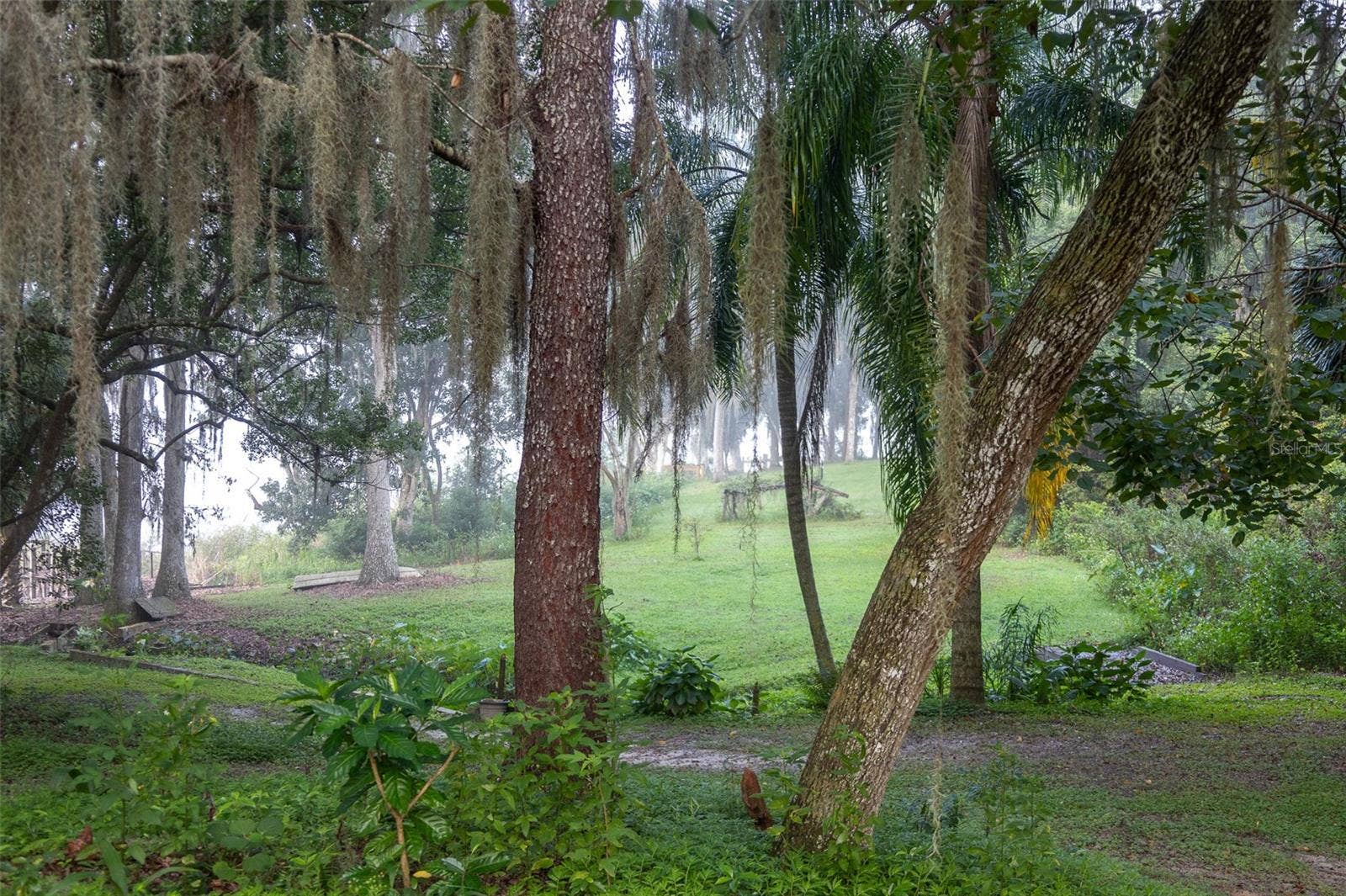 35935 NOLEN LANE, Eustis, FL 32736 View through trees overlooking stream and dock