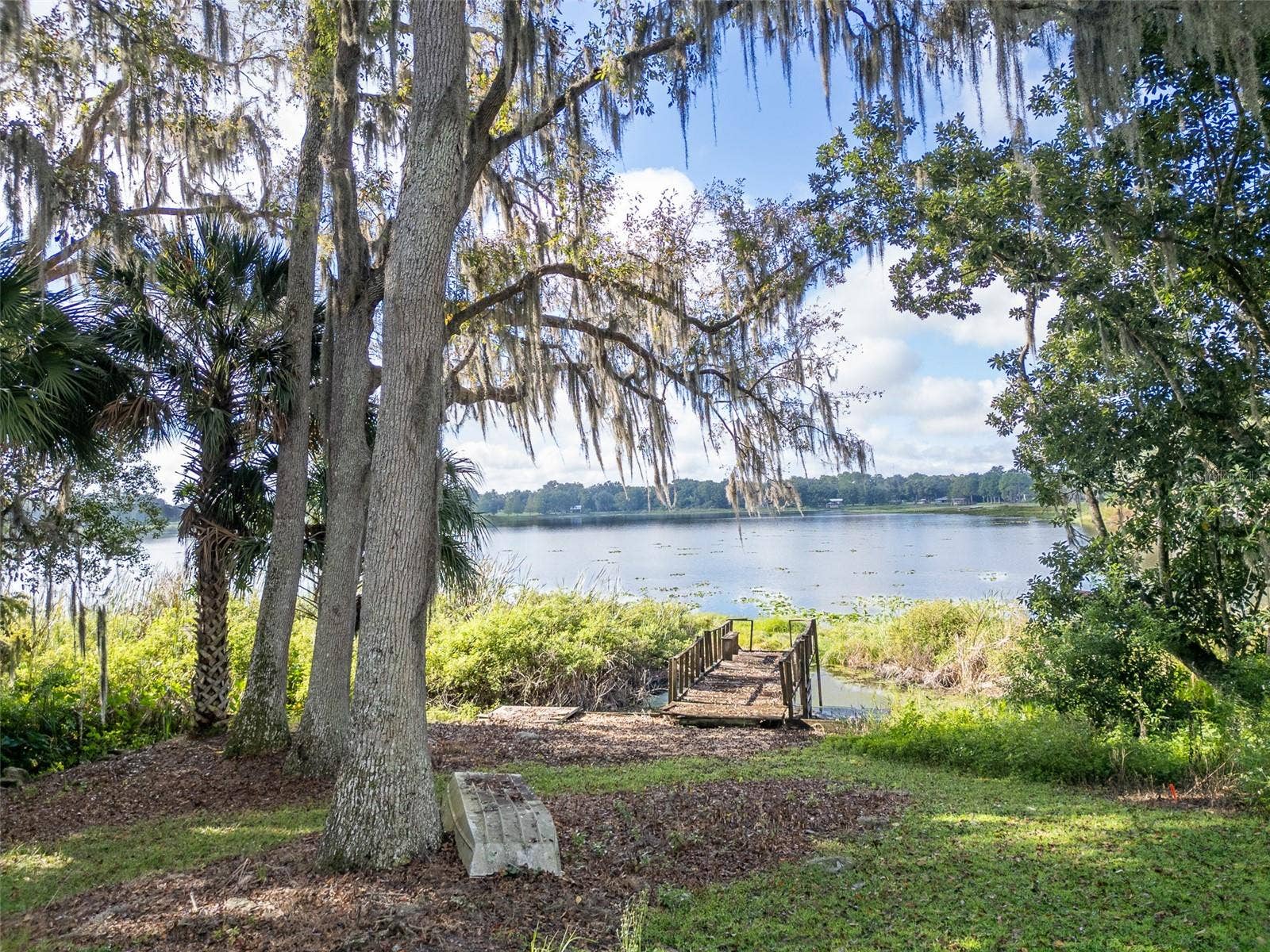 35935 NOLEN LANE, Eustis, FL 32736 Looking at west shoreline and dock