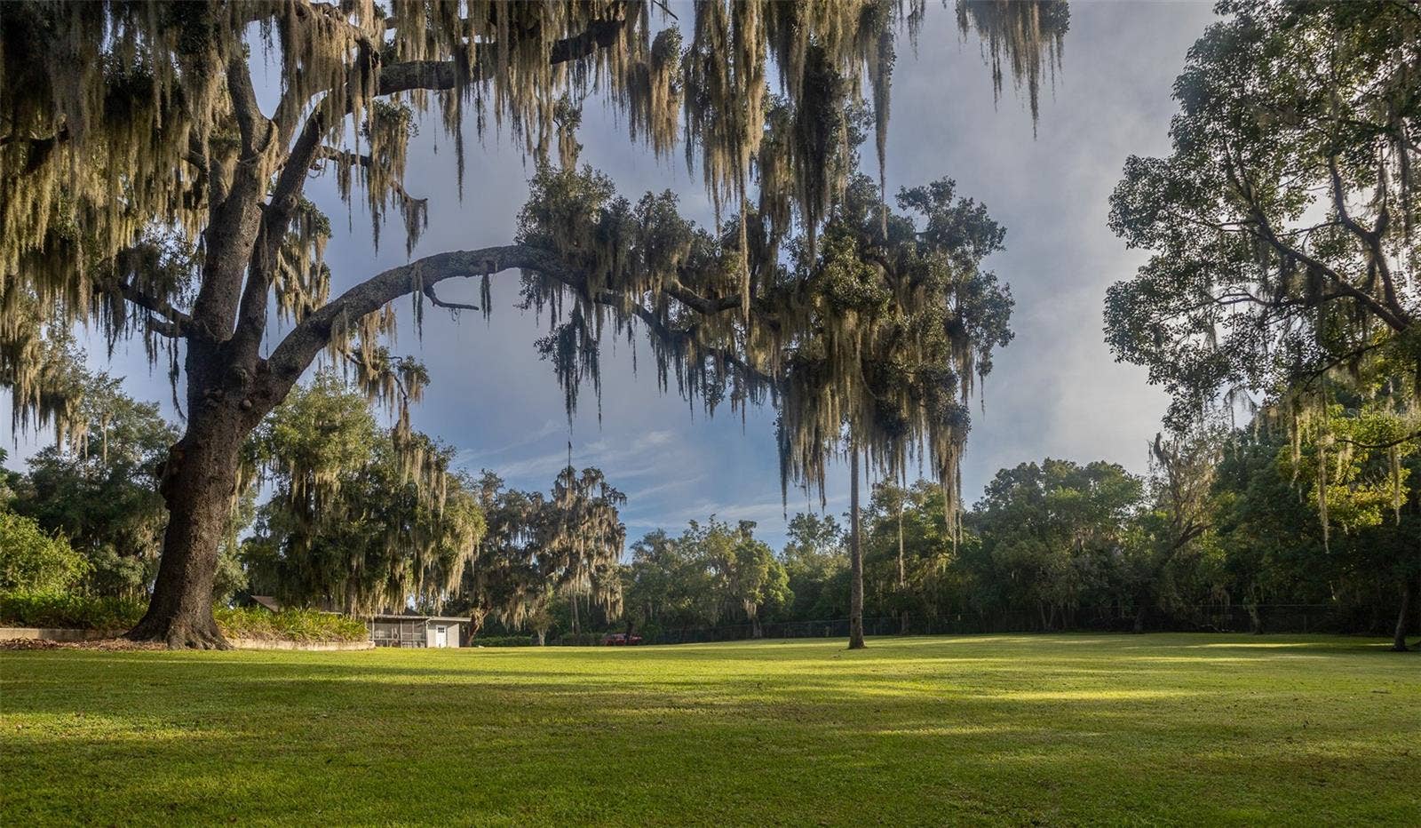 35935 NOLEN LANE, Eustis, FL 32736 Looking back at home through large oaks