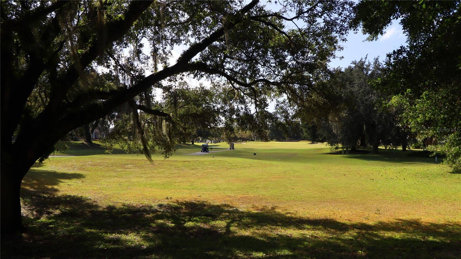 8724 SE 130TH LOOP, Summerfield, FL 34491 View From Back of Home