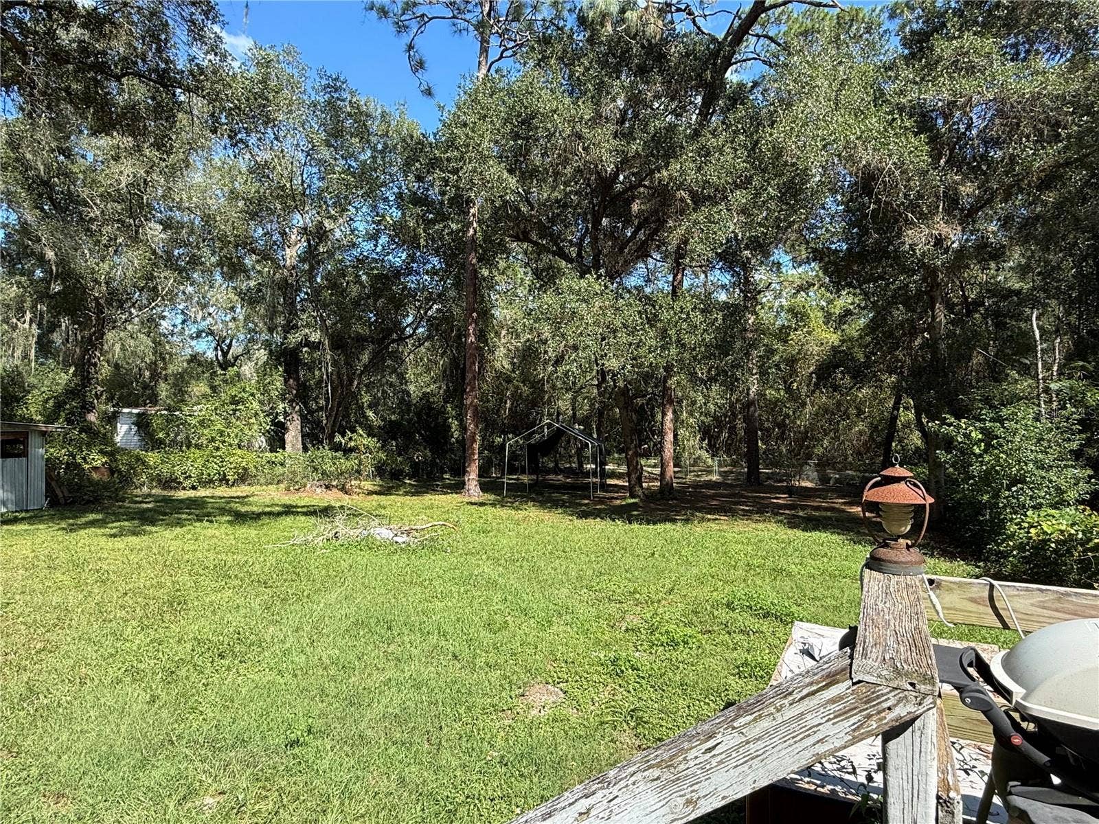 back yard
