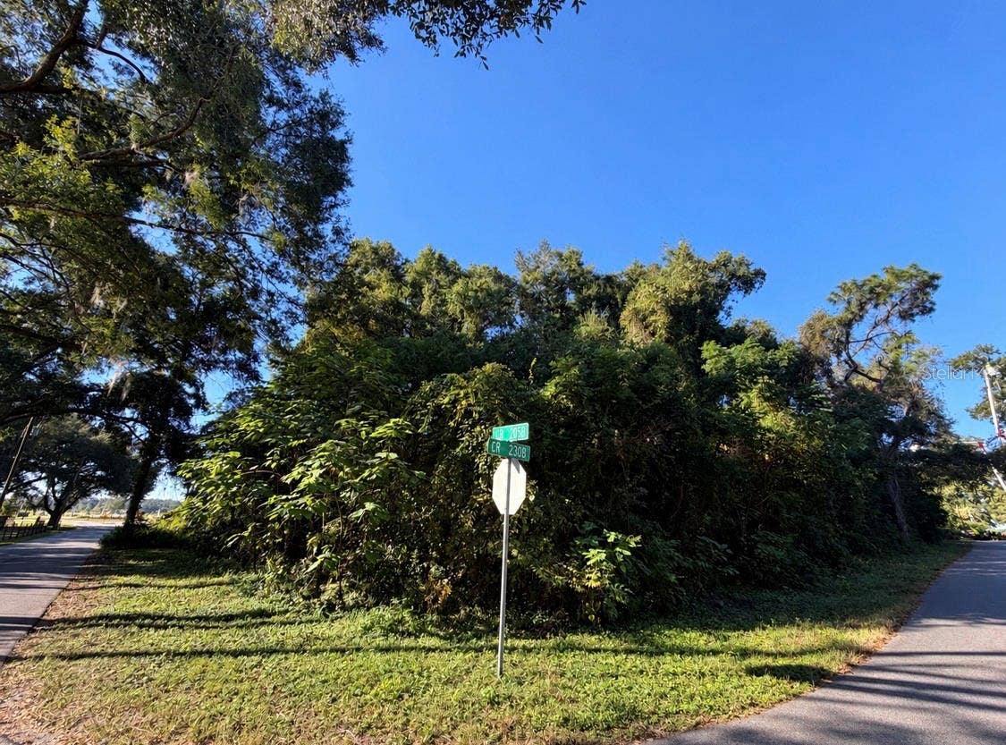 3711 CR 230B, Wildwood, FL 34785