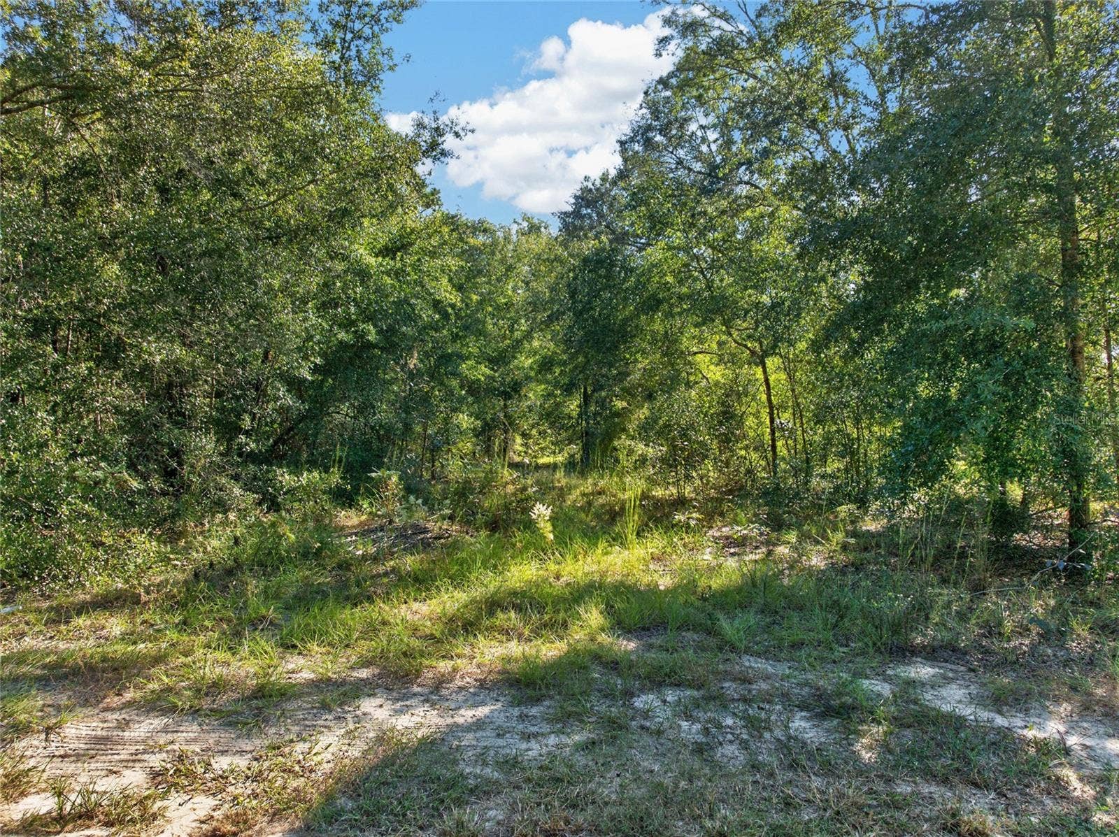 SE 41ST TERRACE, Summerfield, FL 34491