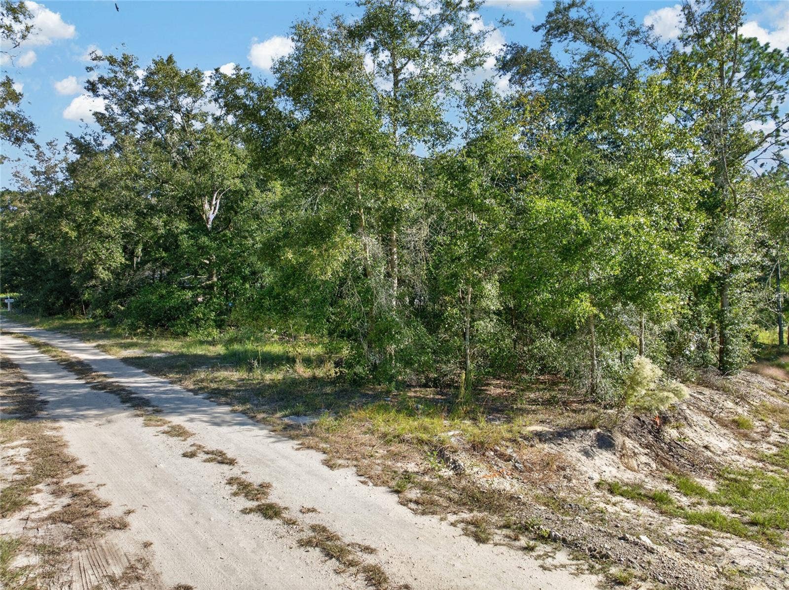 SE 41ST TERRACE, Summerfield, FL 34491