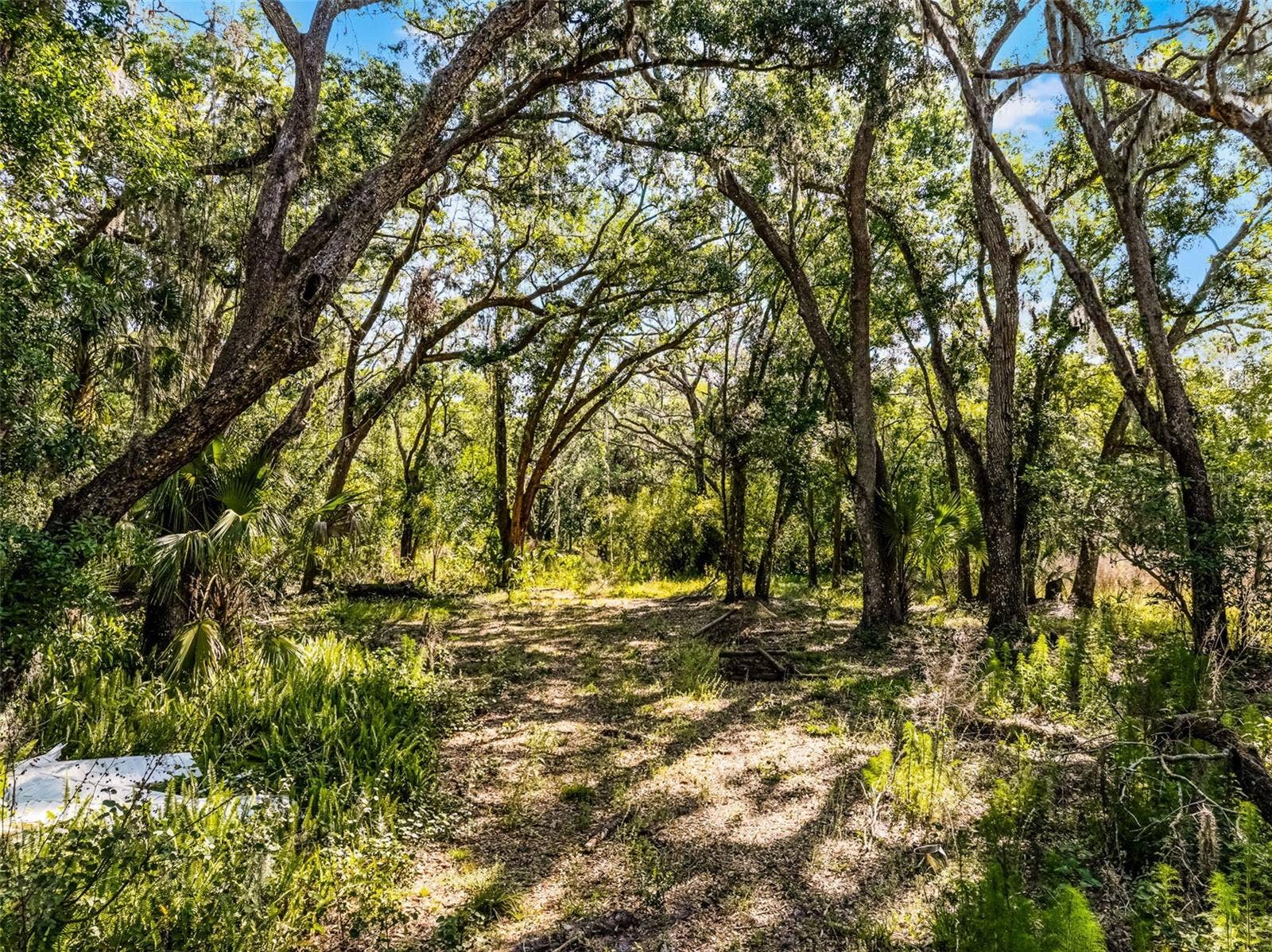 3633 PANTHER PATH ROAD, Lutz, FL 33559