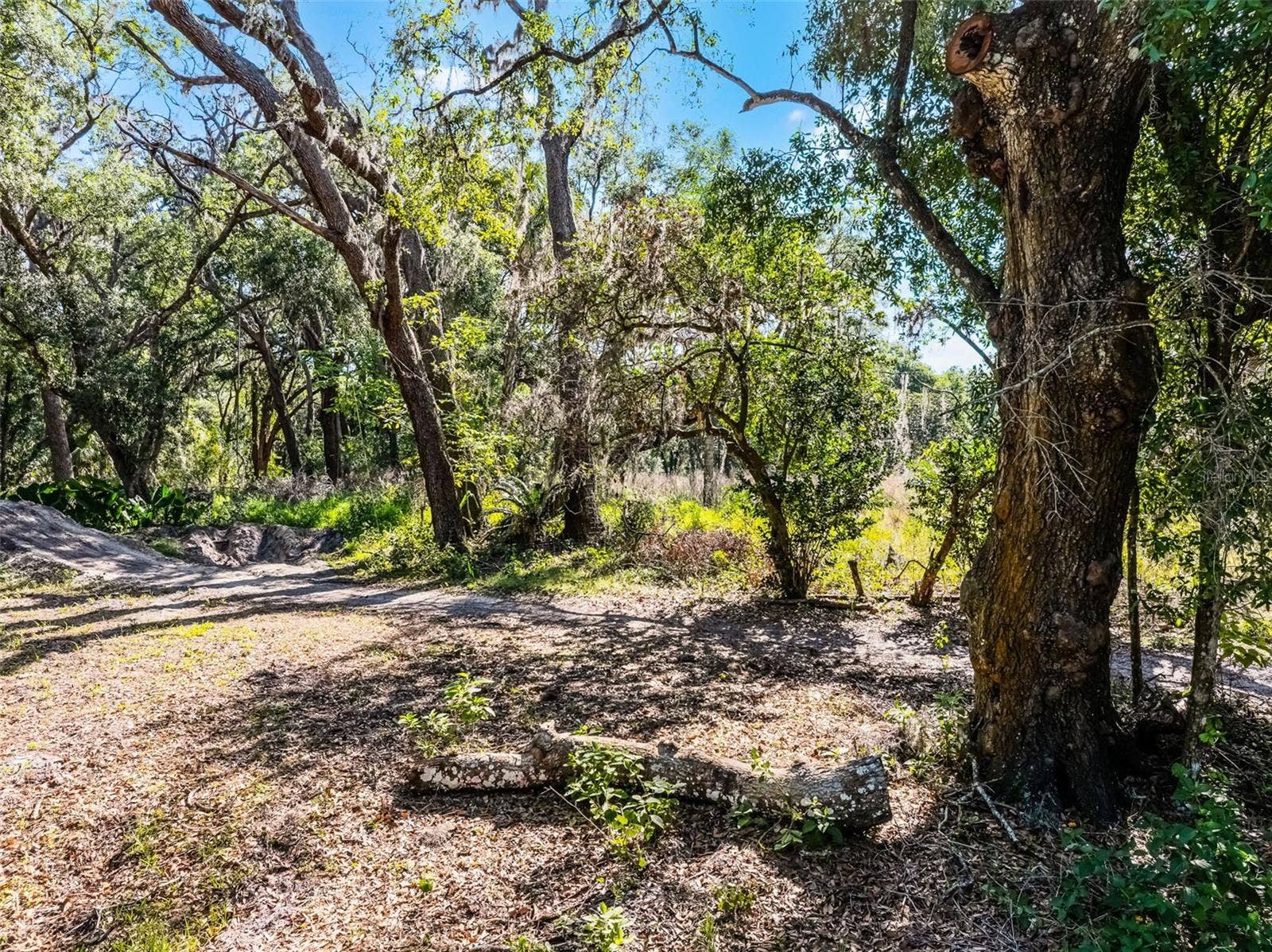 3633 PANTHER PATH ROAD, Lutz, FL 33559