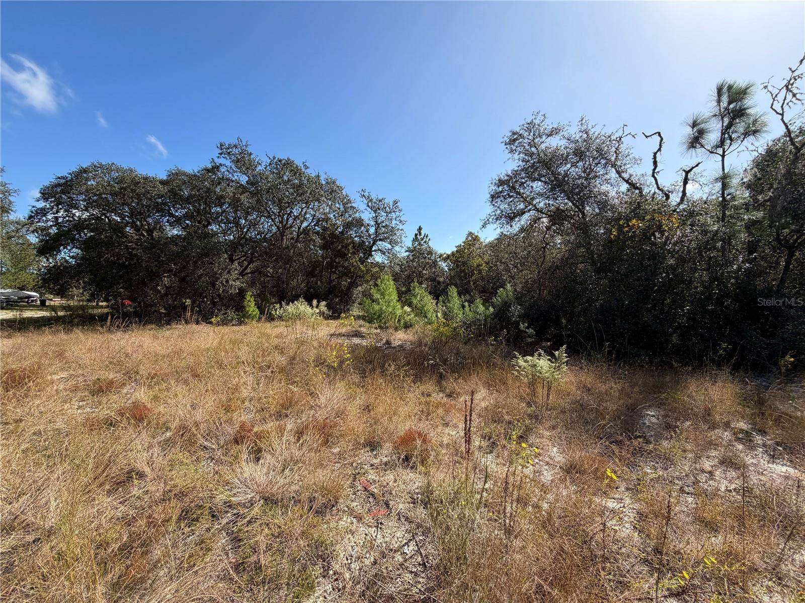 SW GARDENIA COURT, Dunnellon, FL 34431 SW GARDENIA COURT, Dunnellon, FL 34431