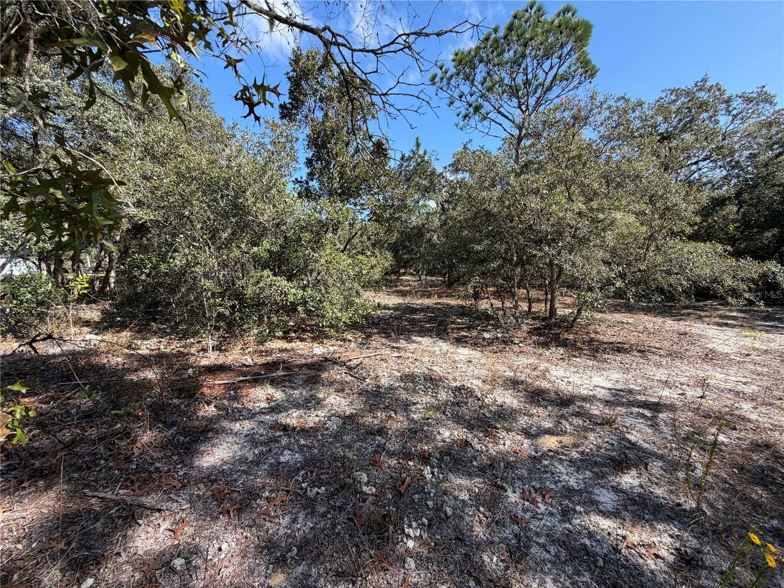 SW GARDENIA COURT, Dunnellon, FL 34431 SW GARDENIA COURT, Dunnellon, FL 34431