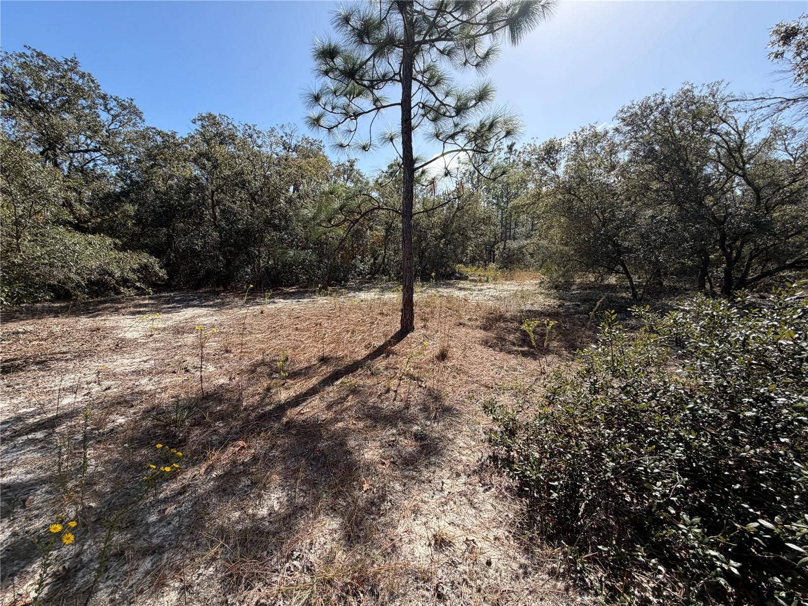 SW GARDENIA COURT, Dunnellon, FL 34431 SW GARDENIA COURT, Dunnellon, FL 34431