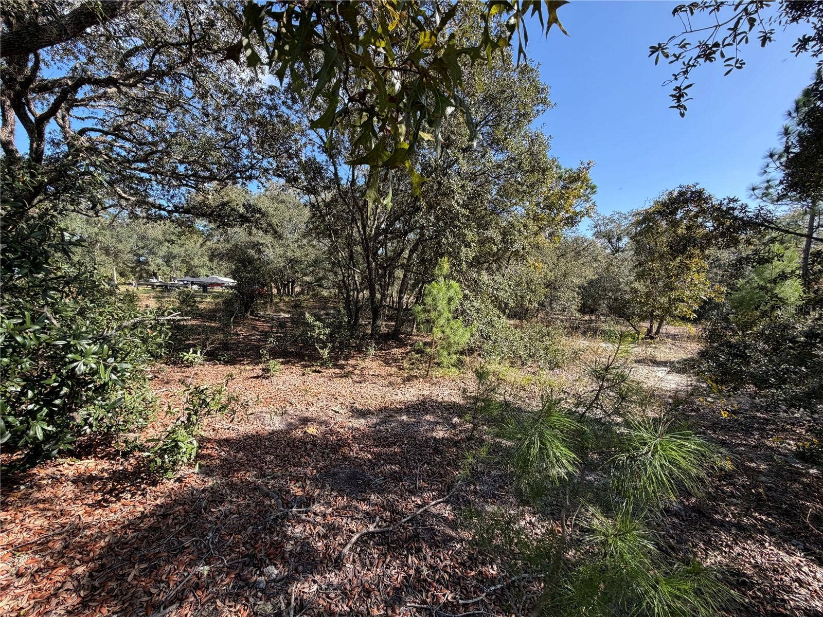 SW GARDENIA COURT, Dunnellon, FL 34431 SW GARDENIA COURT, Dunnellon, FL 34431