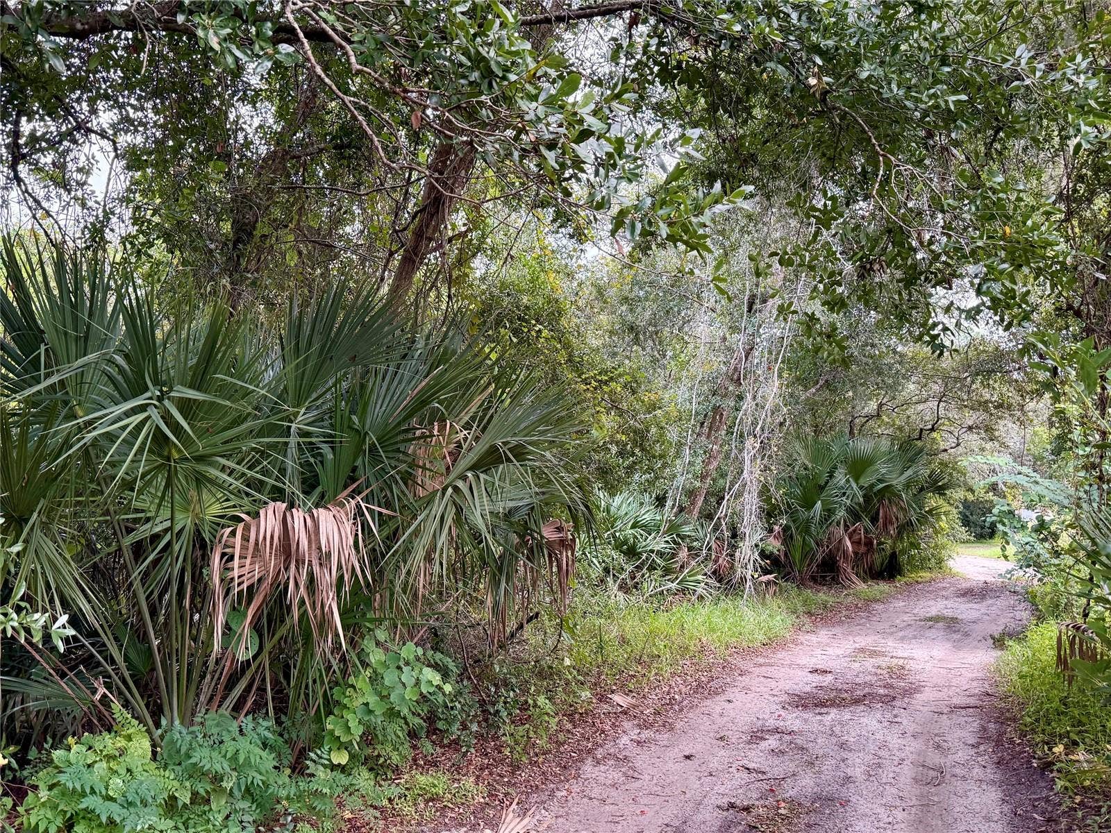 CYPRESS DRIVE, Leesburg, FL 34788 CYPRESS DRIVE, Leesburg, FL 34788