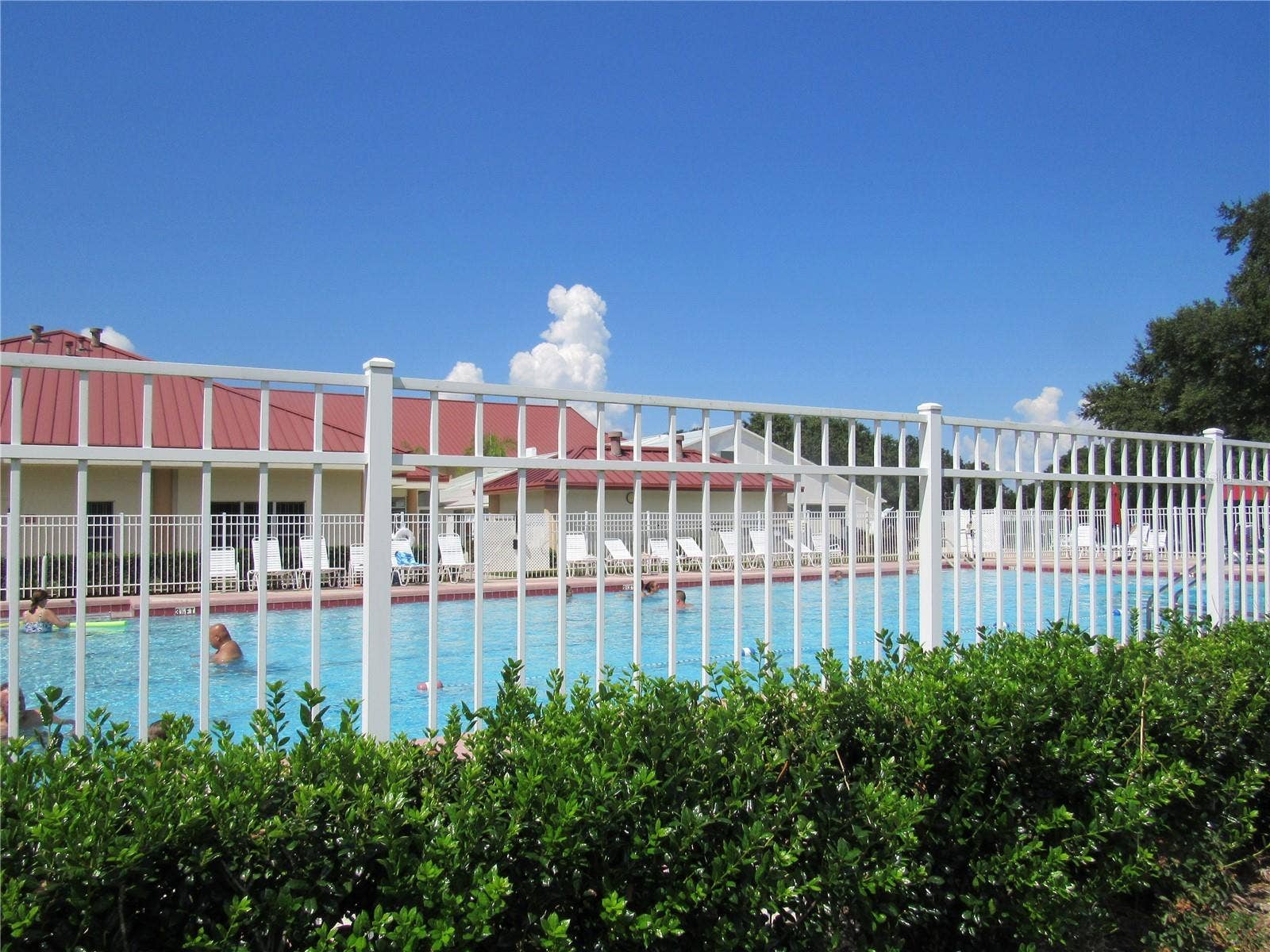 5546 ROSEWALL, Leesburg, FL 34748 Outdoor pool
