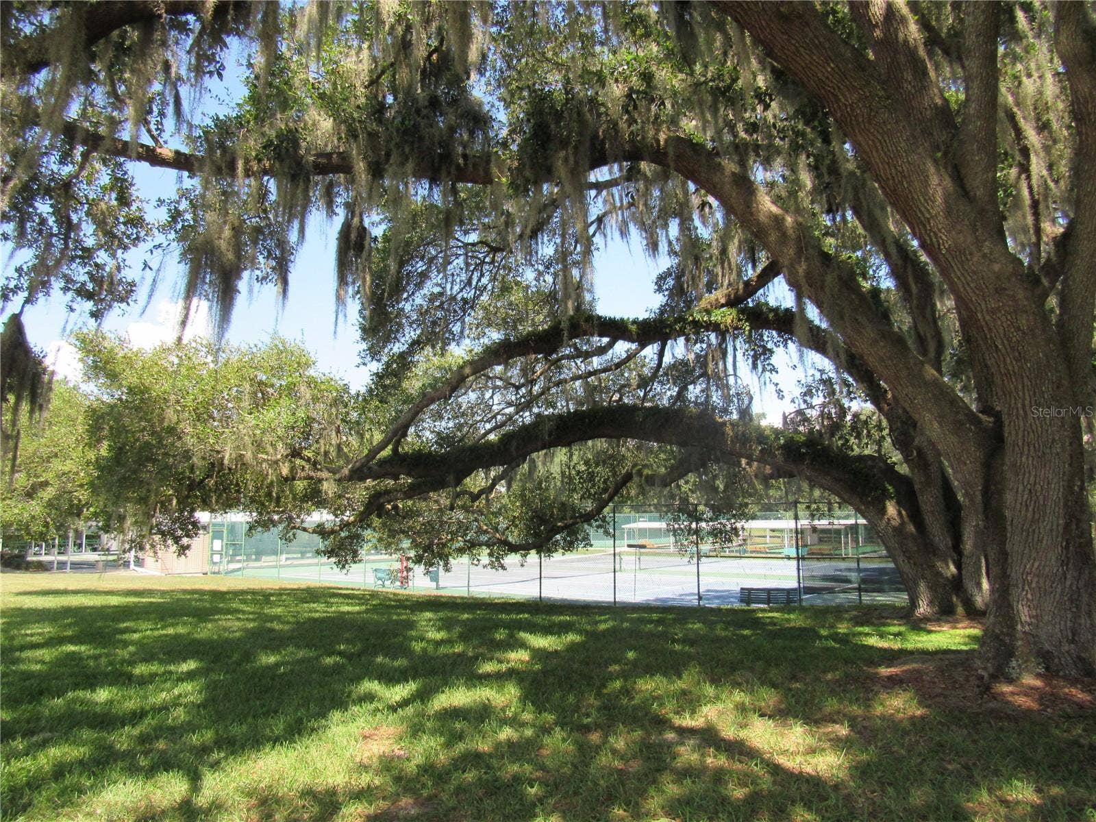 5546 ROSEWALL, Leesburg, FL 34748 Courts