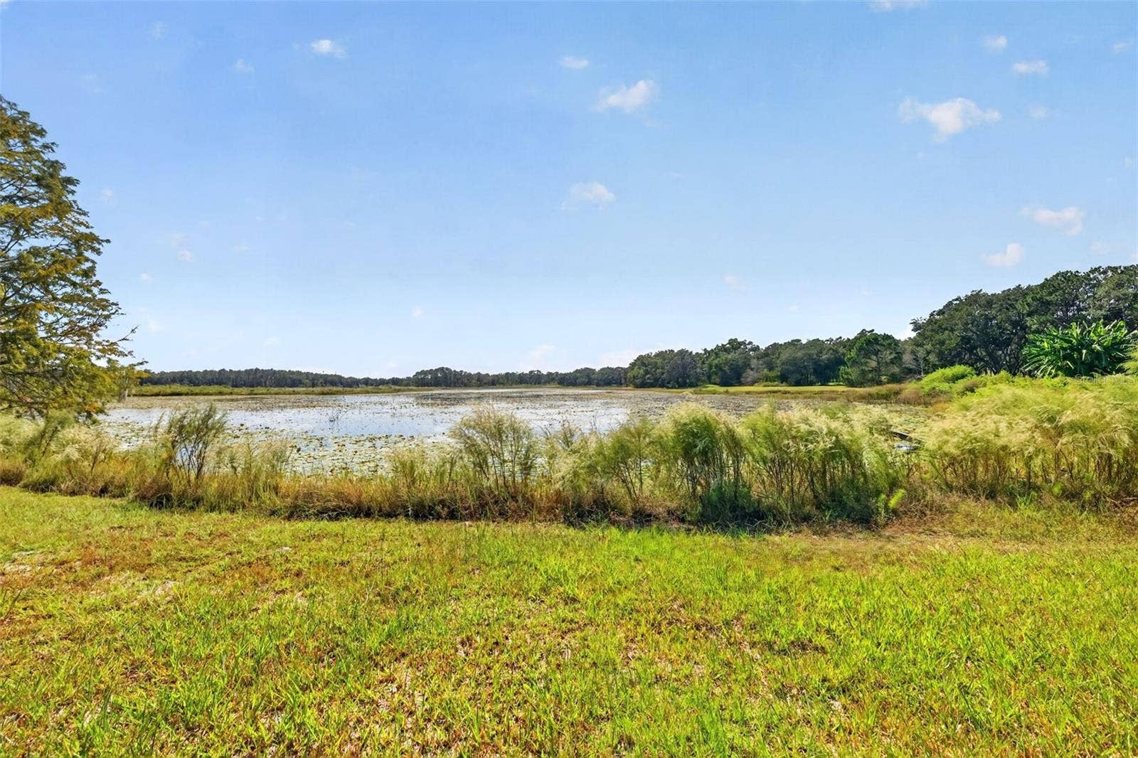 1440 SELMAN ROAD, Leesburg, FL 34748 1440 SELMAN ROAD, Leesburg, FL 34748
