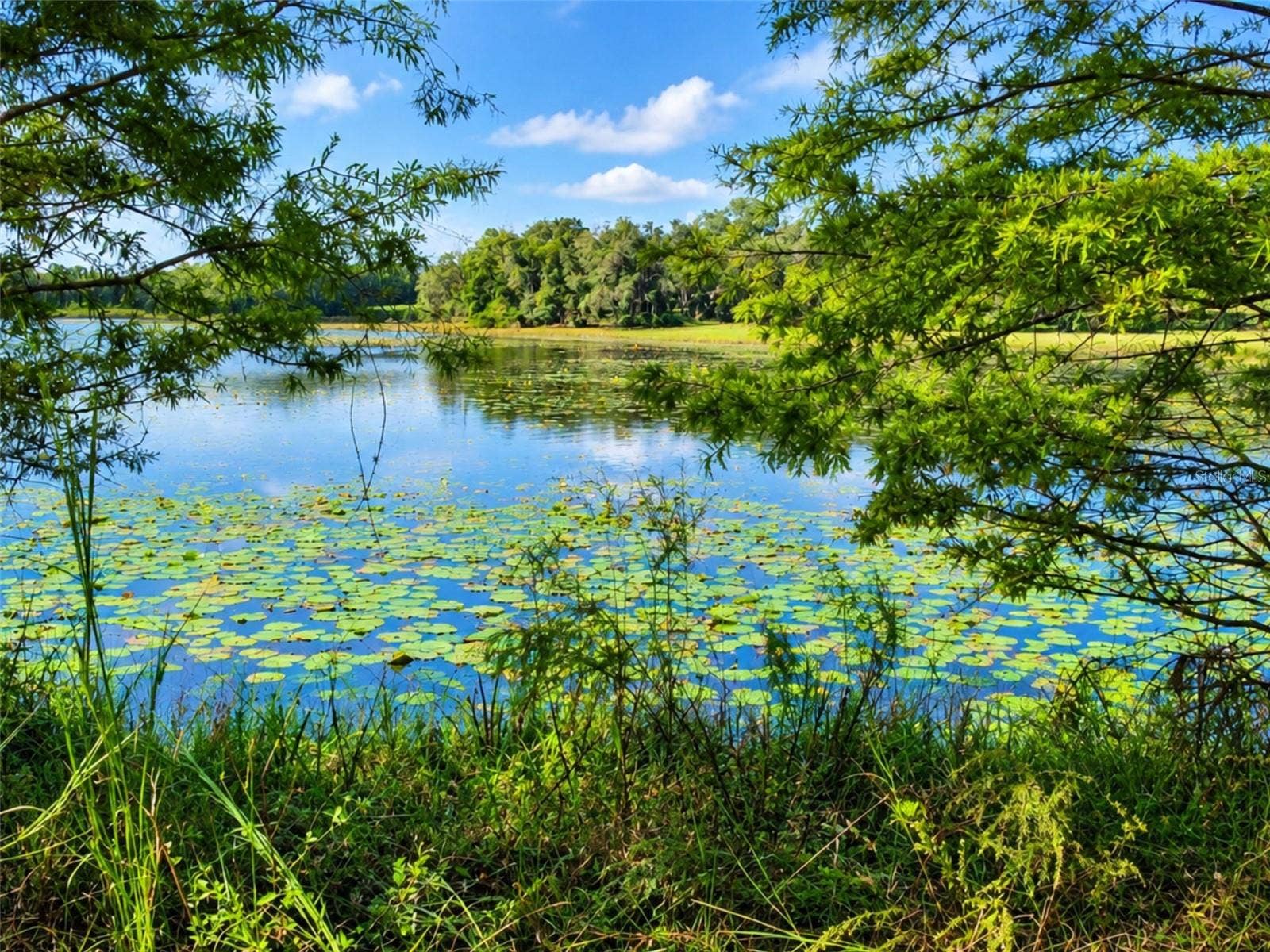 1440 SELMAN ROAD, Leesburg, FL 34748 1440 SELMAN ROAD, Leesburg, FL 34748