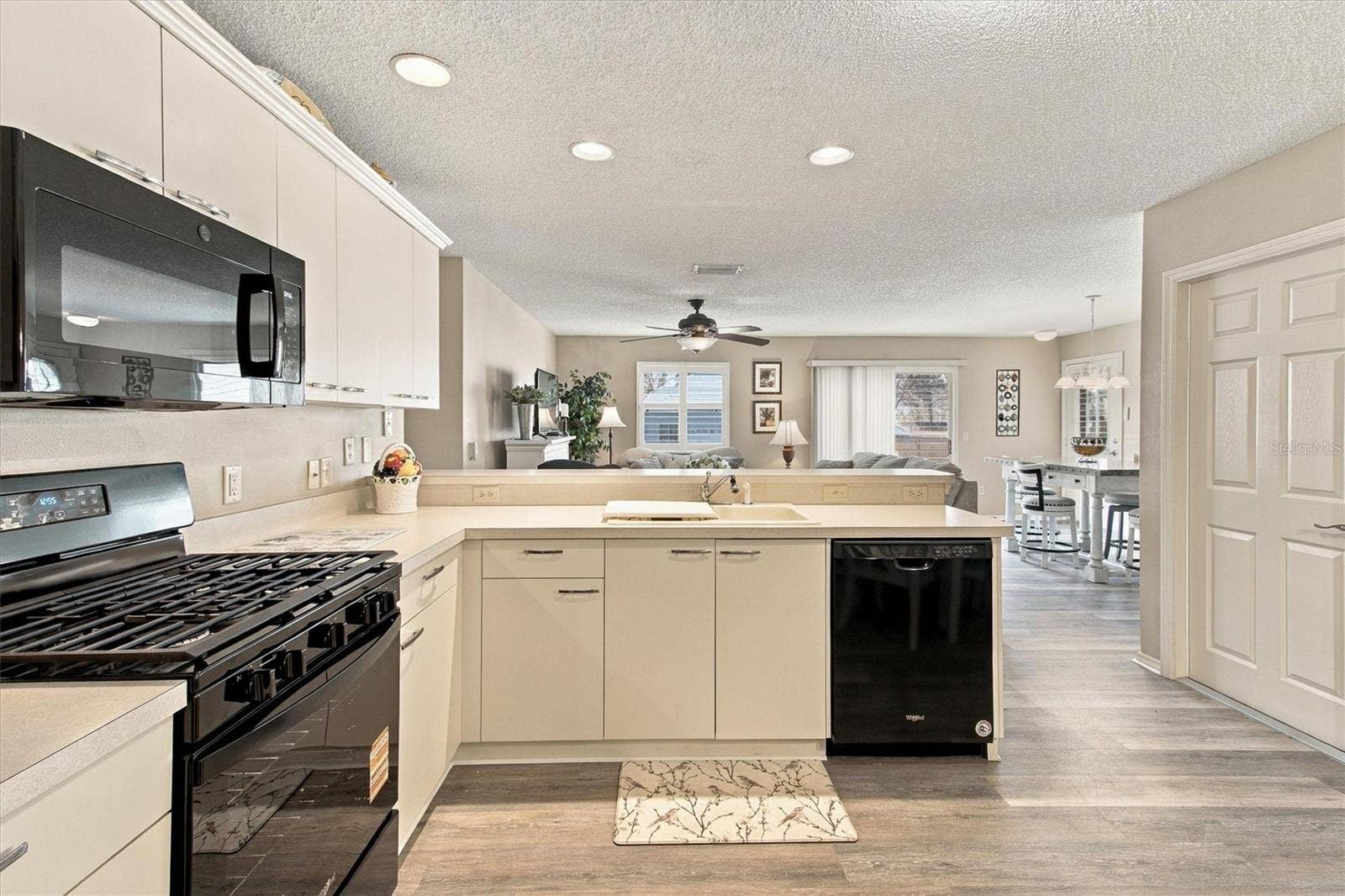 16940 SE 81ST ELLERSLIE COURT, The Villages, FL 32162 16940 SE 81ST ELLERSLIE COURT, The Villages, FL 32162