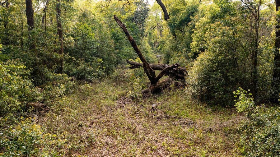 Property photo for 00 NW 177TH PLACE, High Springs, FL