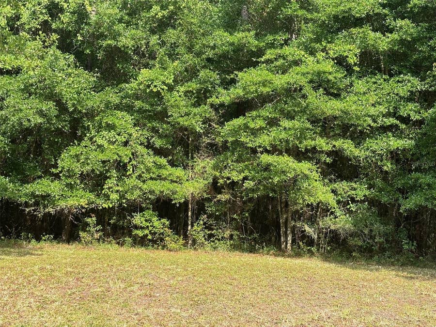 Property photo for 8845 NW 58TH LANE, Gainesville, FL