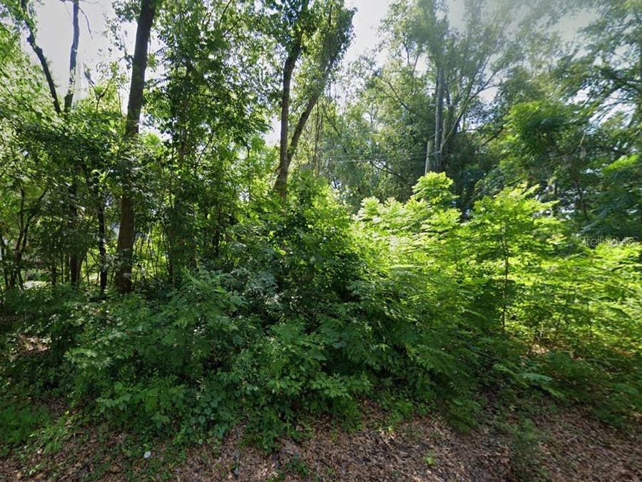 Property photo for 12213 NW 157TH STREET, Alachua, FL