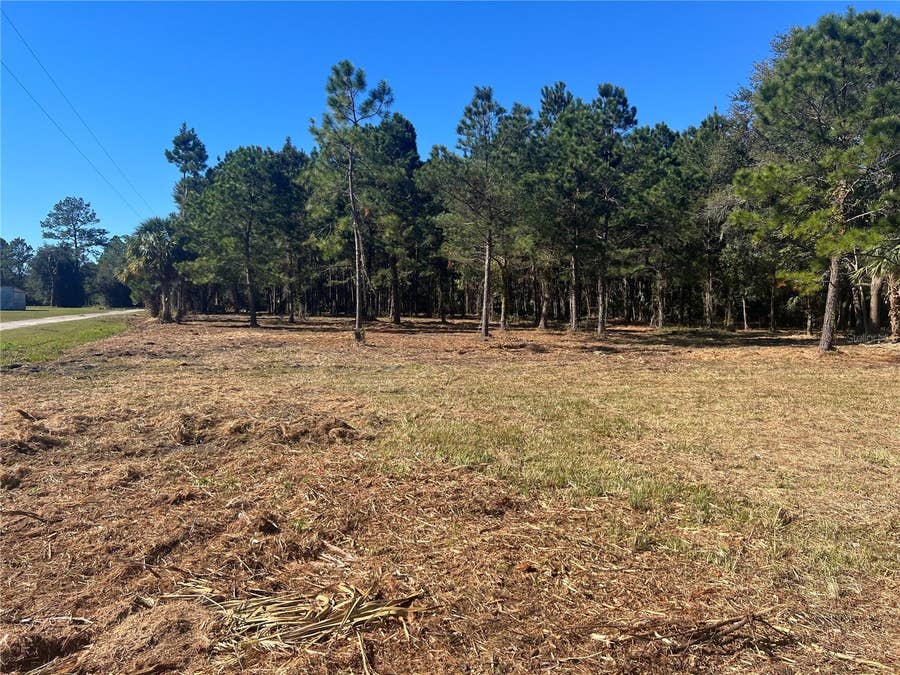 Property photo for 17802 US-301, Waldo, FL