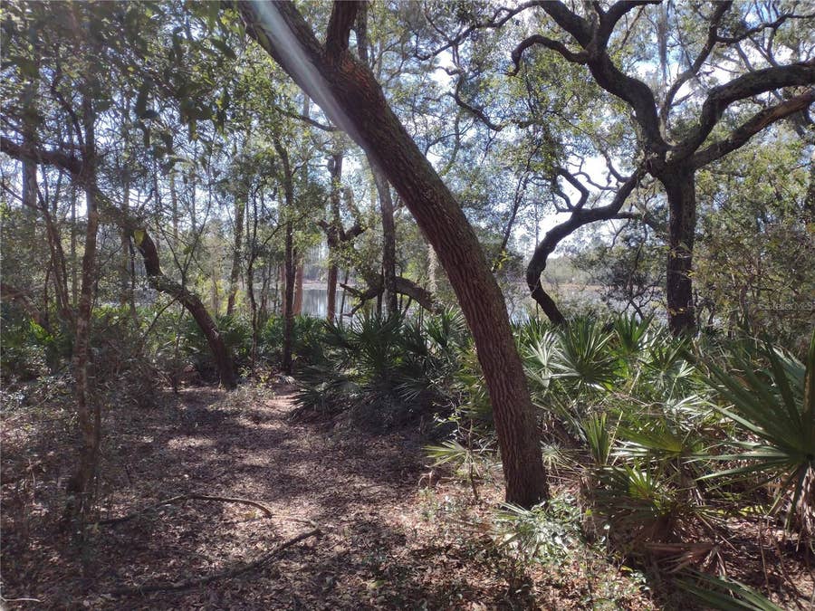 Property photo for 89 TUCKER LAKE ROAD, Melrose, FL