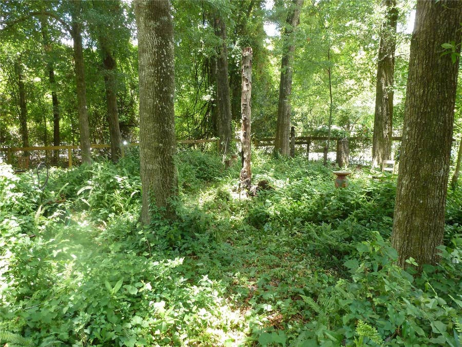 Property photo for 1031 SW 62ND TERRACE, Gainesville, FL